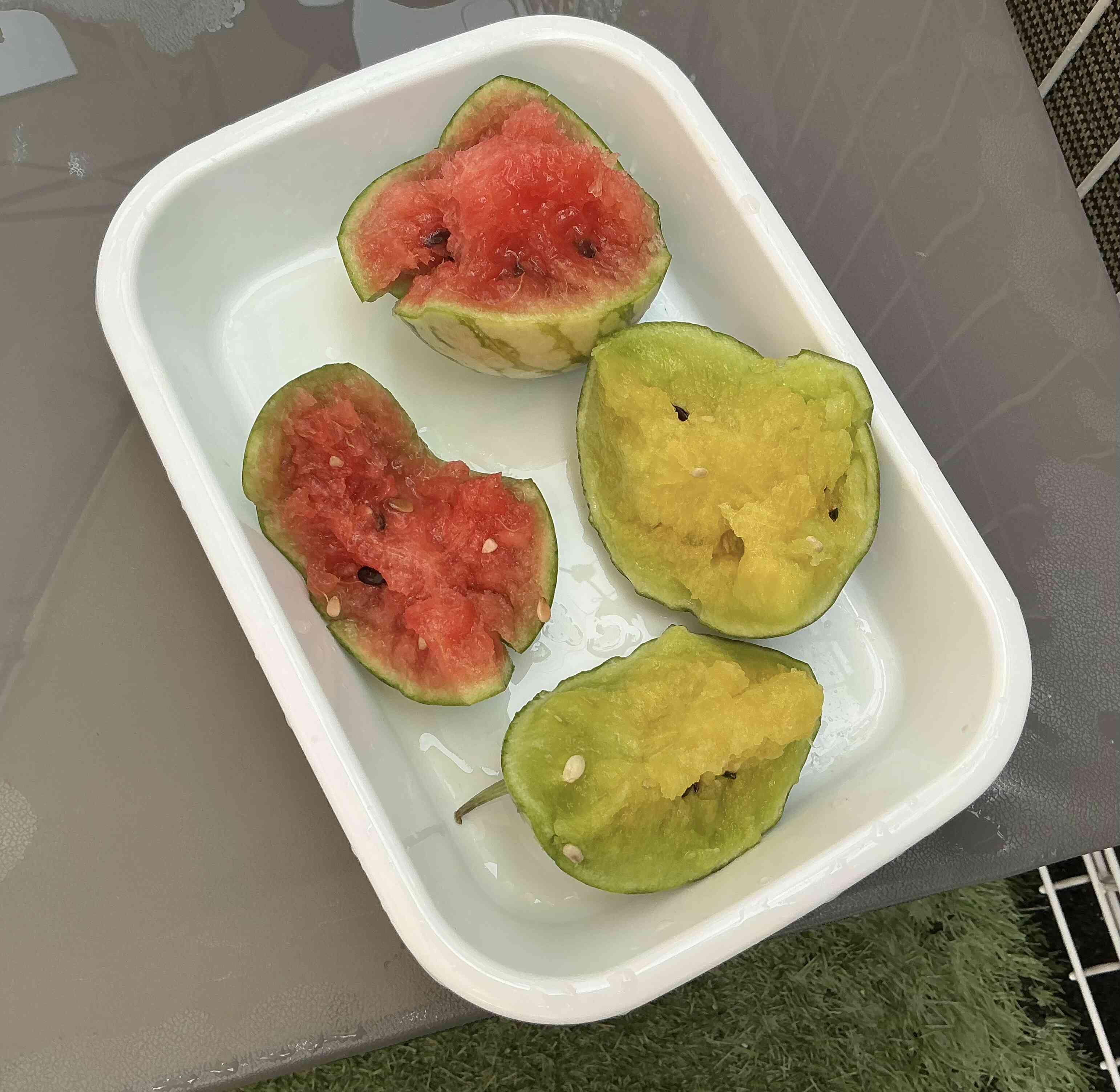 美味しそう♪