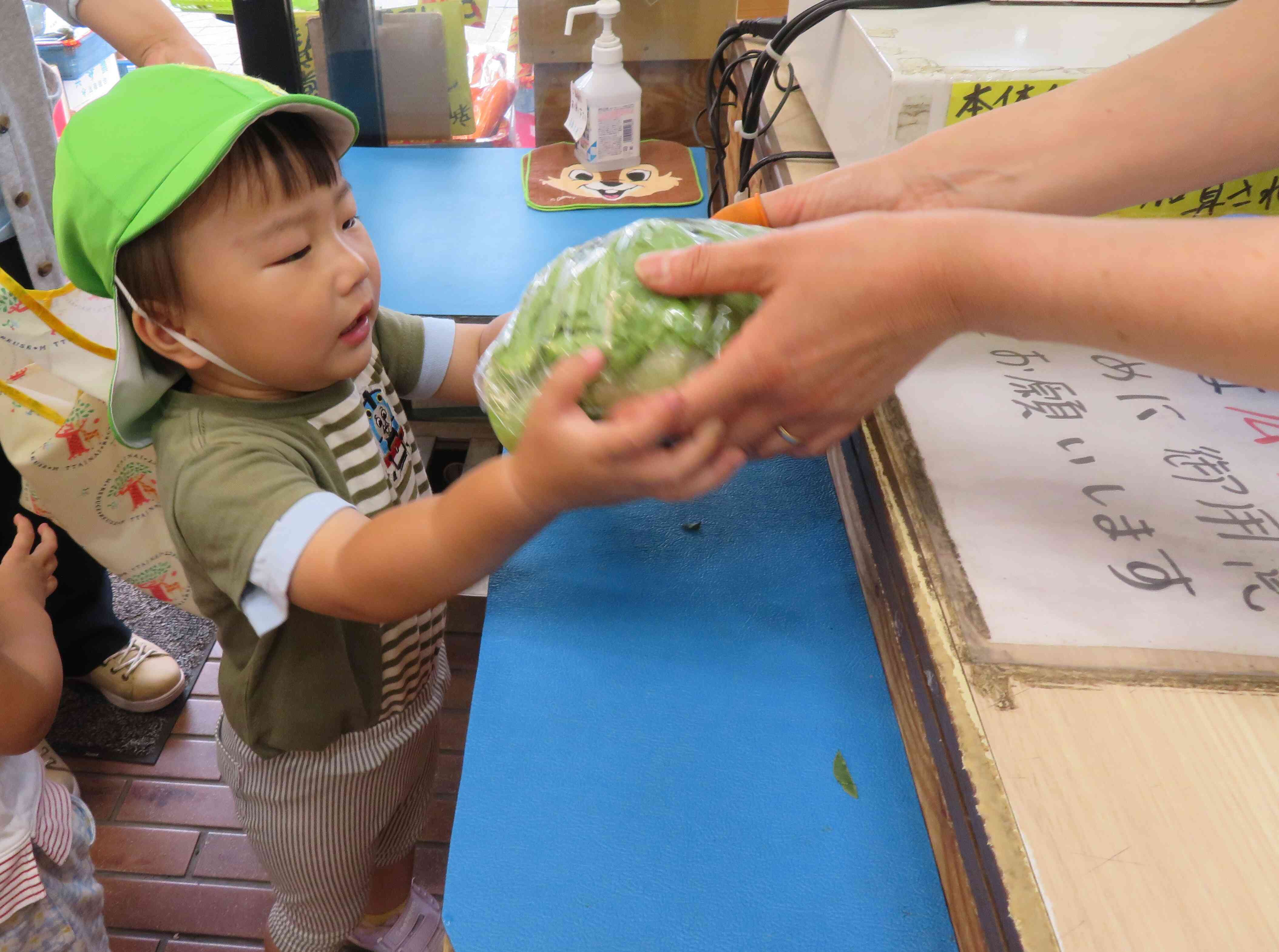 6月食育活動～「レタスちぎり」