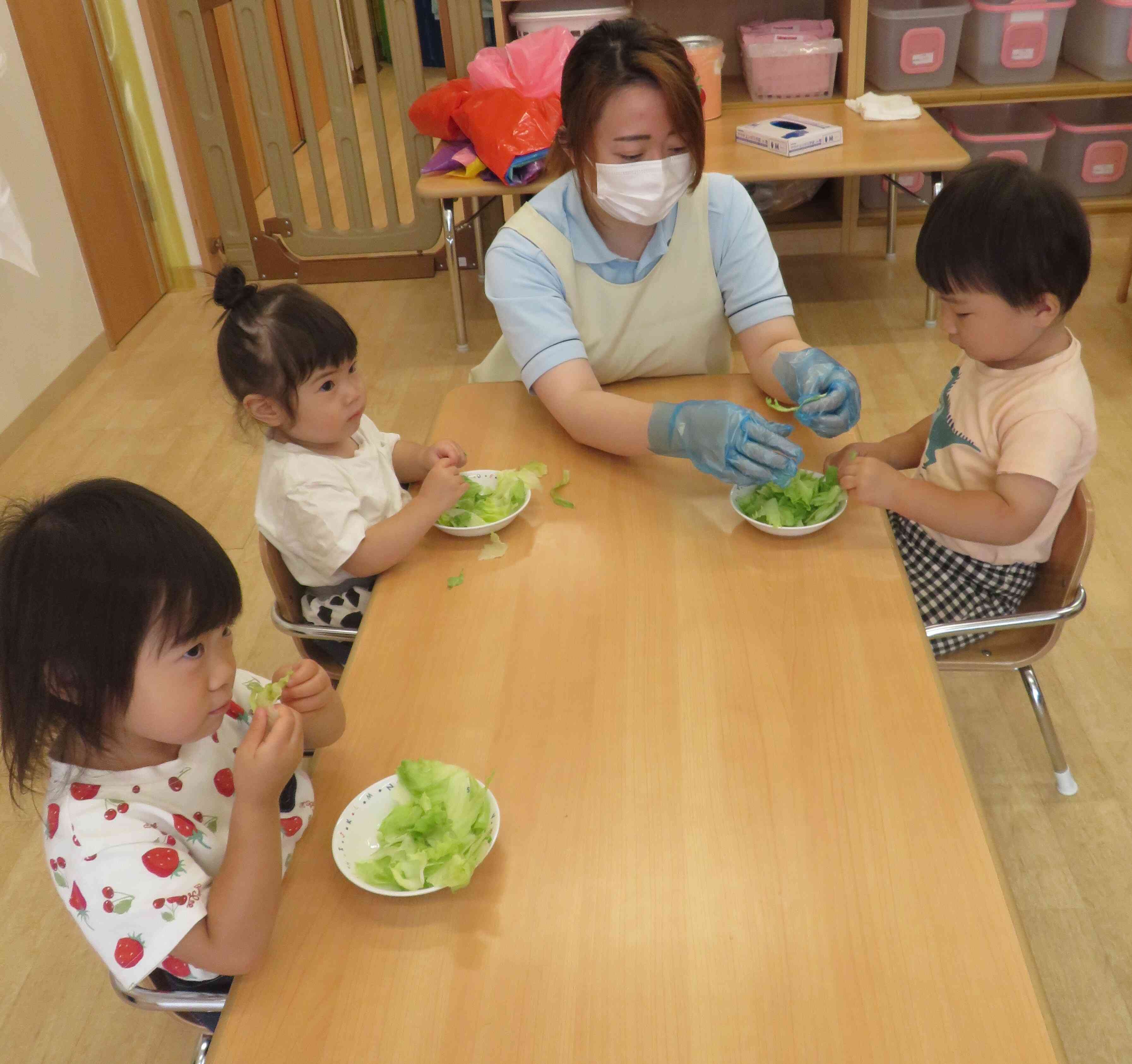 いよいよ「レタスちぎり」に挑戦！