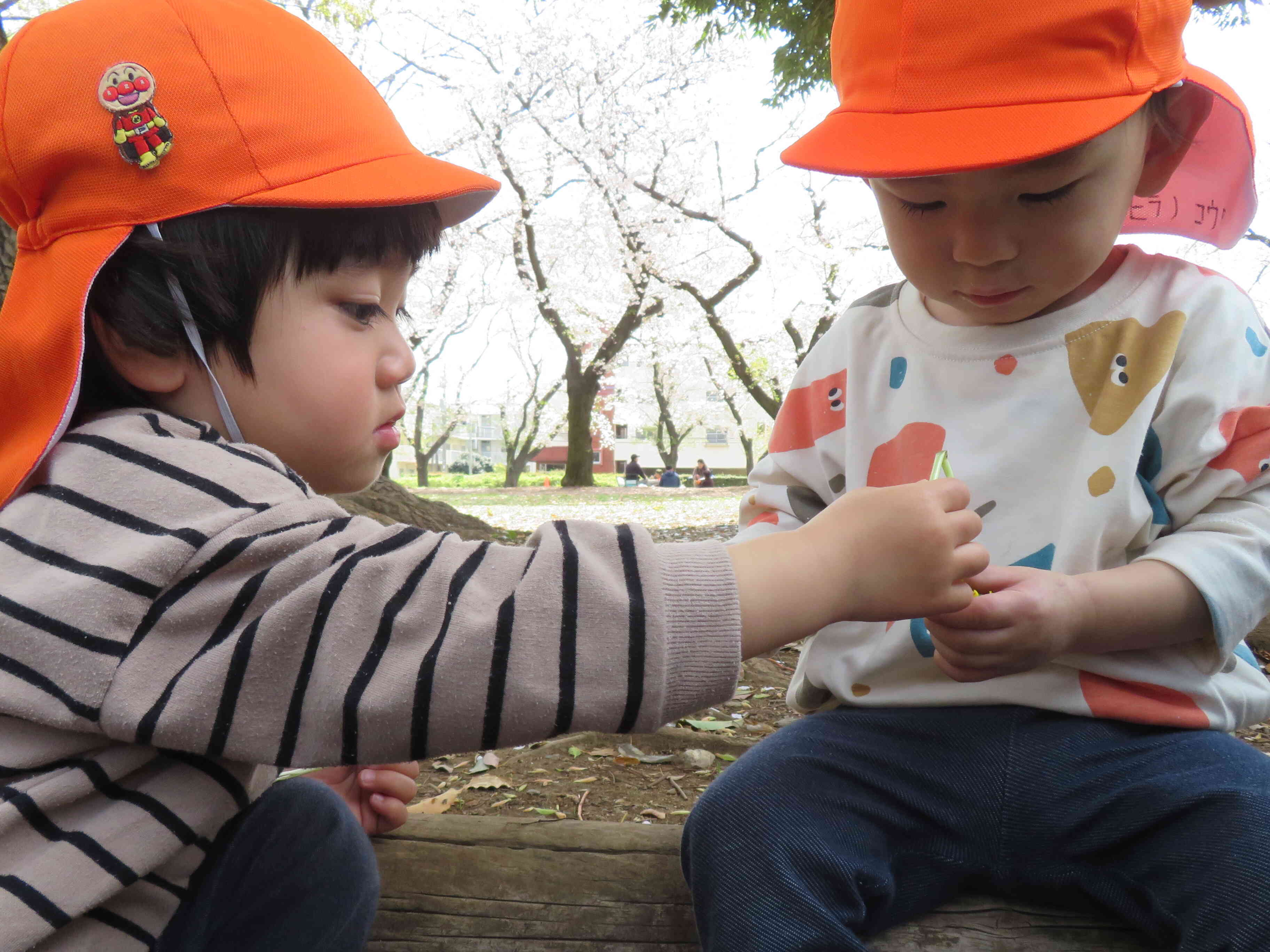 戸外遊び　2歳児　うさぎ組　