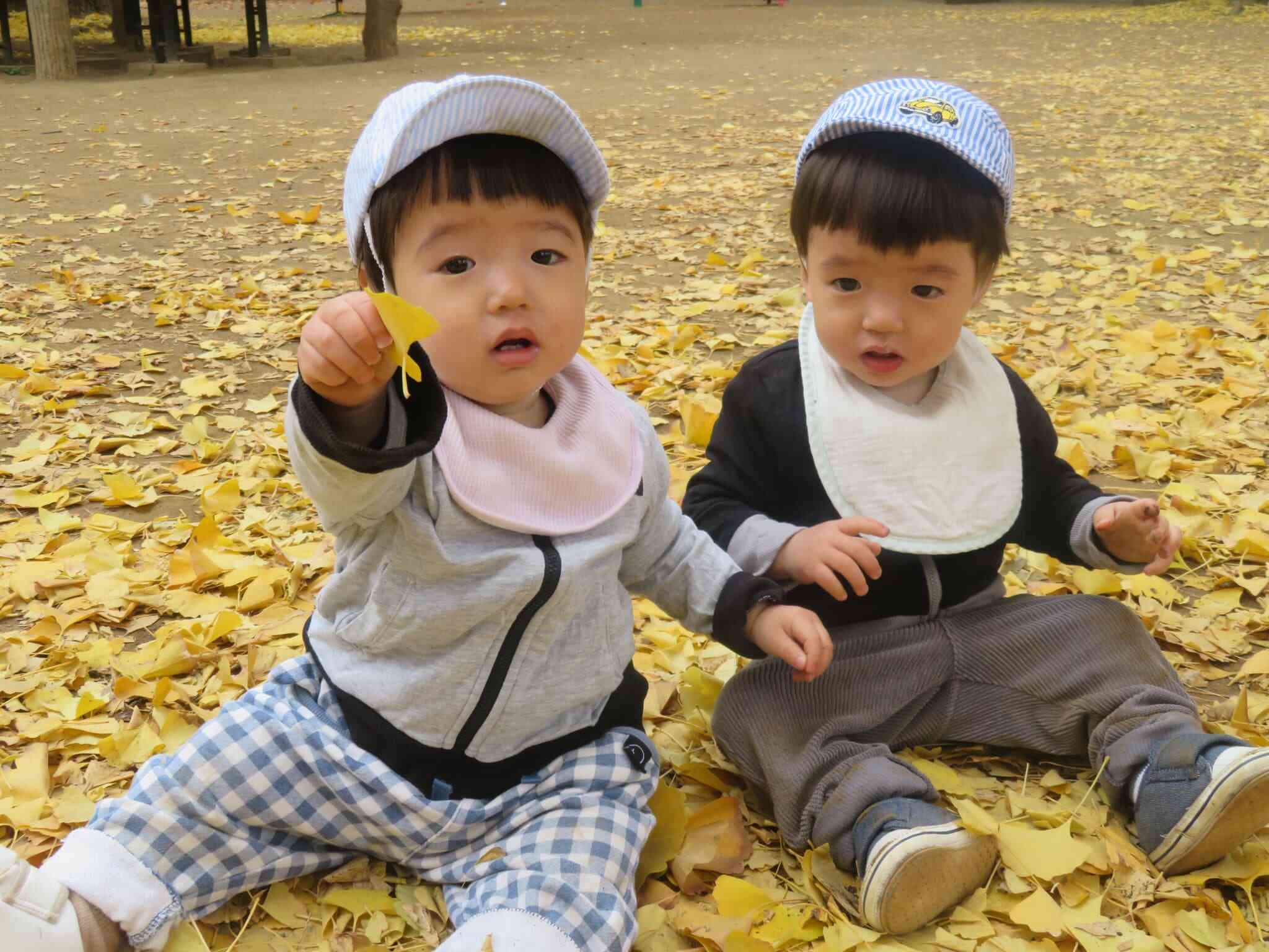 秋の自然、楽しいね♪