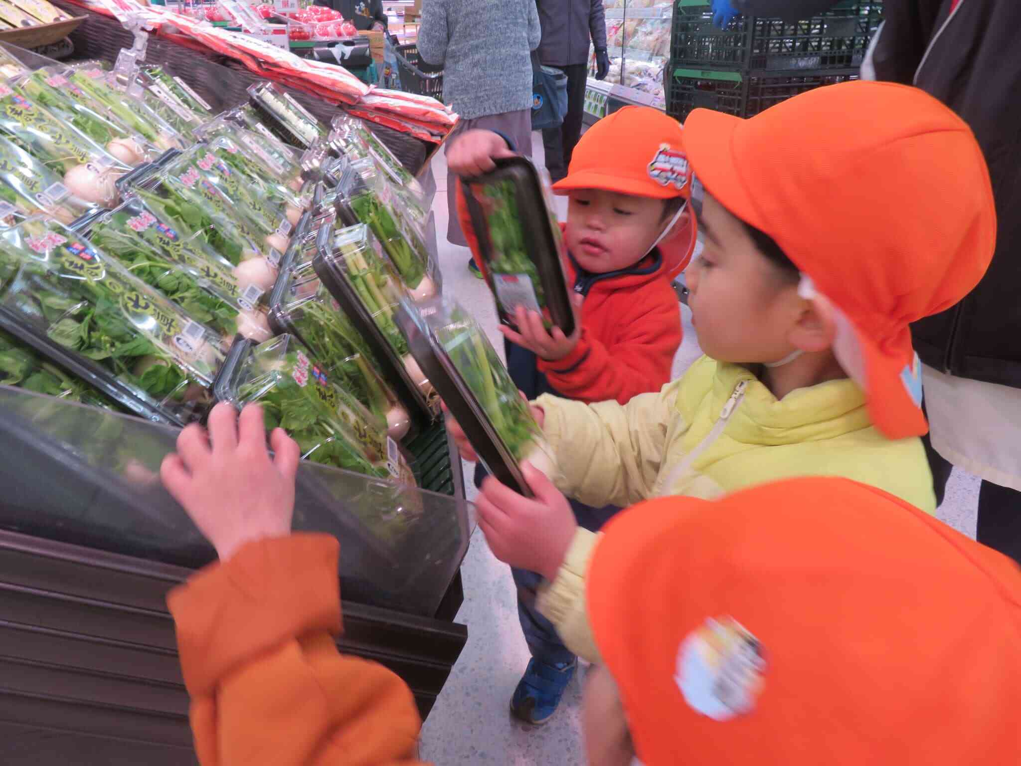 食育　1月「七草を知る、七草粥を食べてみる」