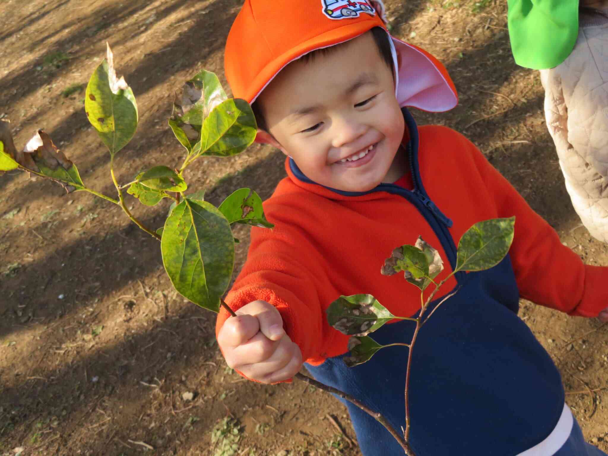 葉っぱがいっぱいだ！