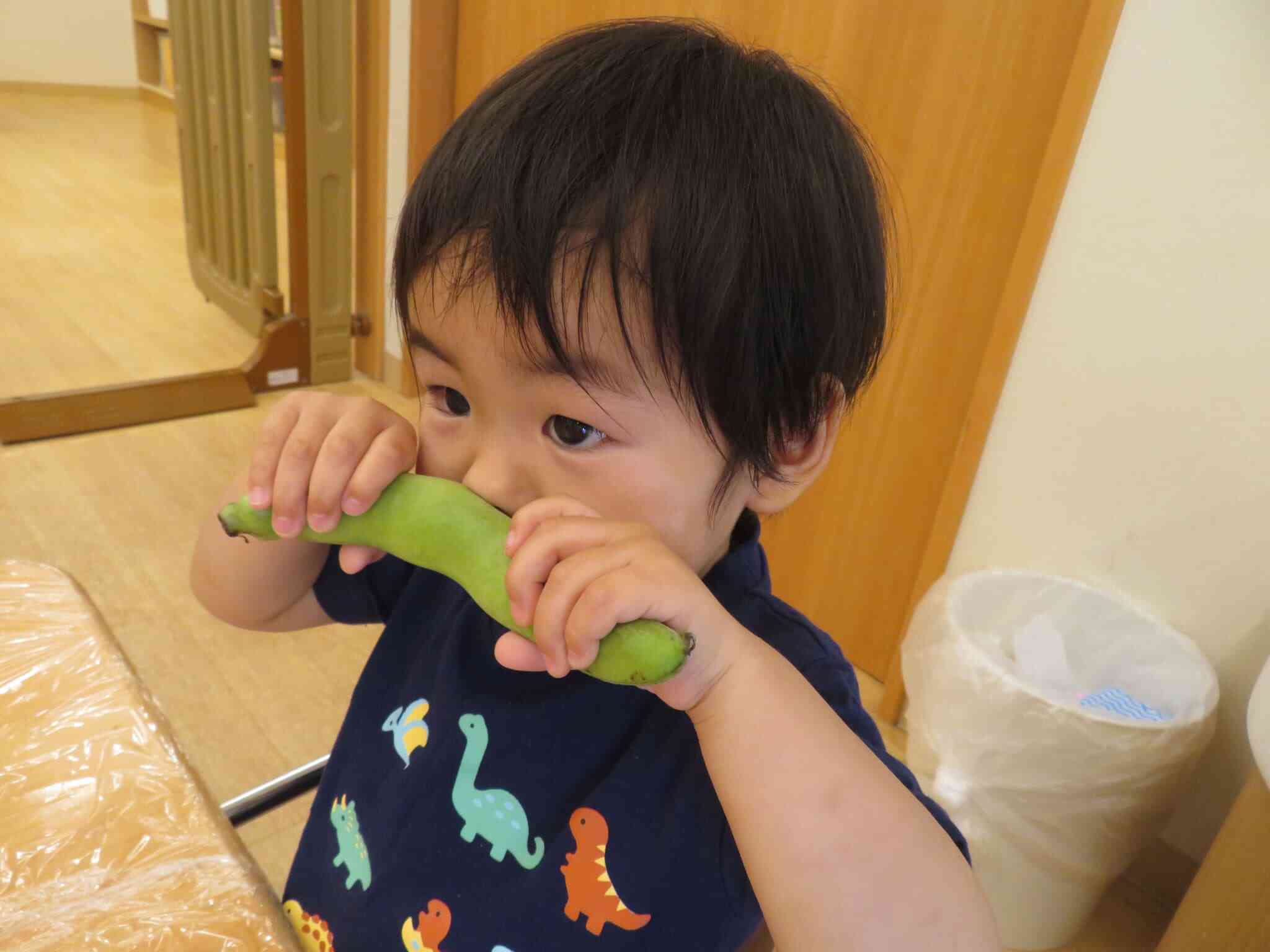 食育~そら豆のさやむき~