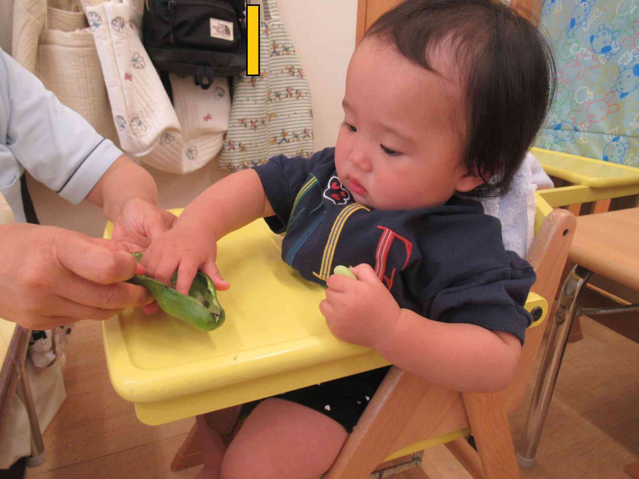 お豆を探すよ～