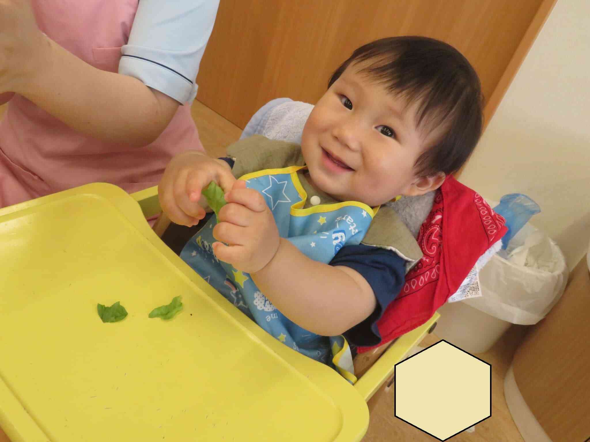 6月の食育活動～レタスちぎり～①