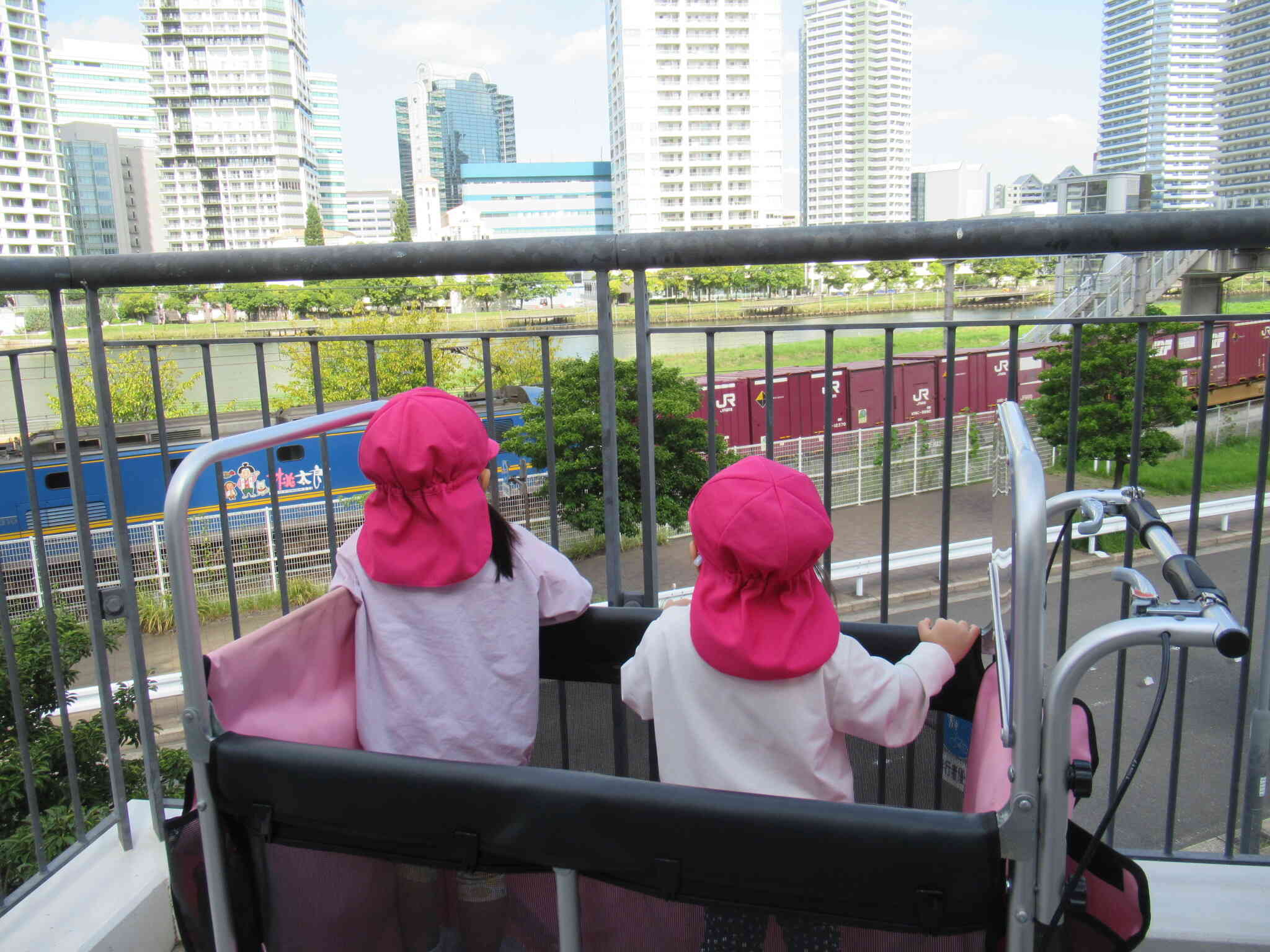 お散歩の様子☆彡