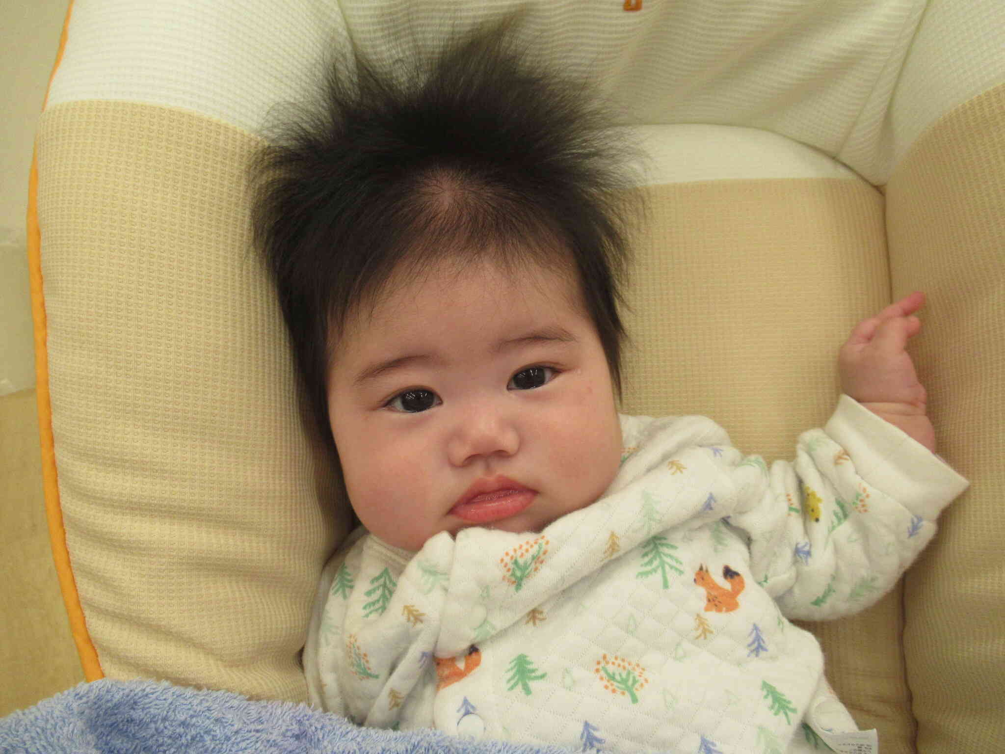 これなんだろう？？