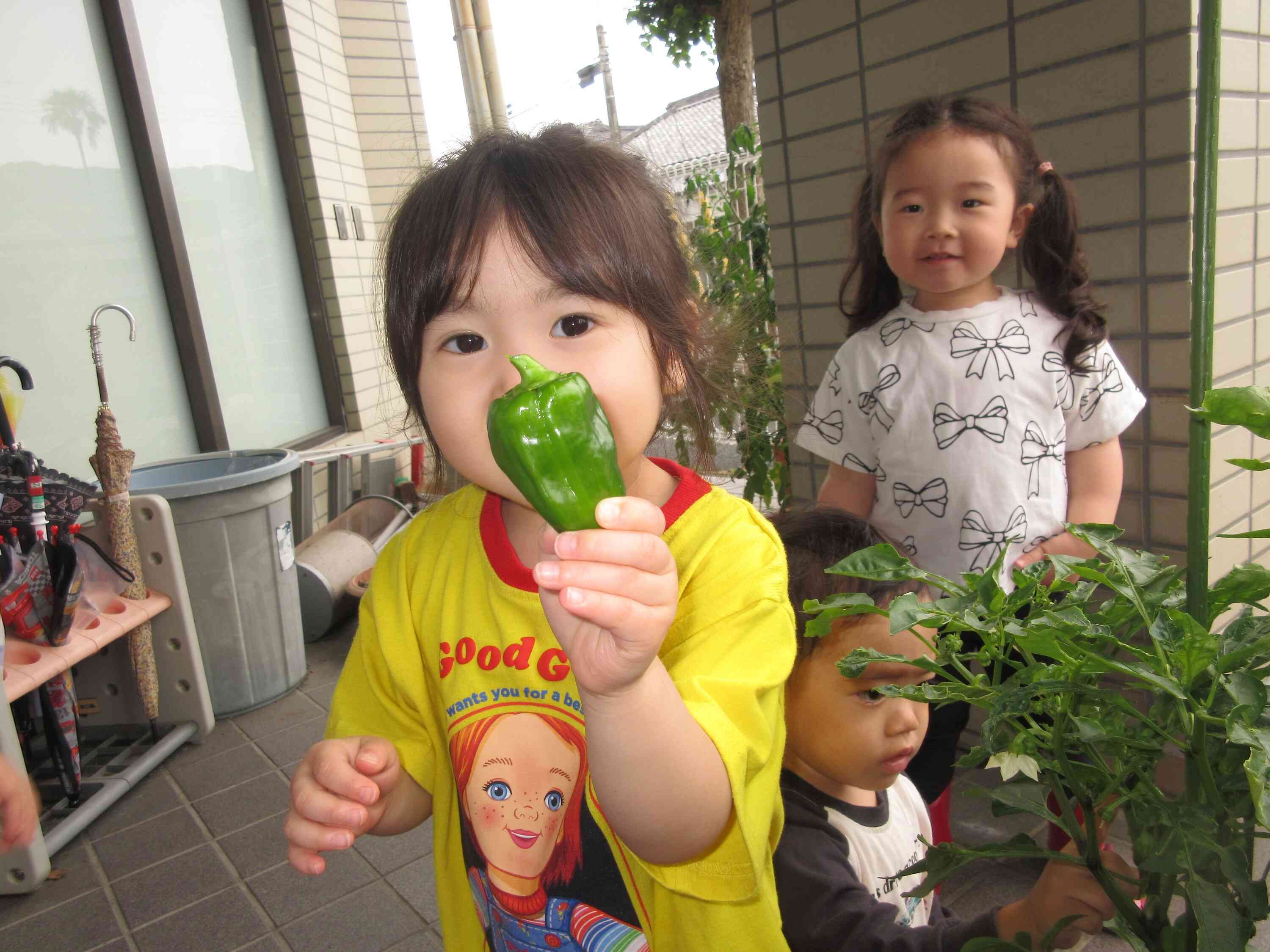 見て！ピーマン取ったよ