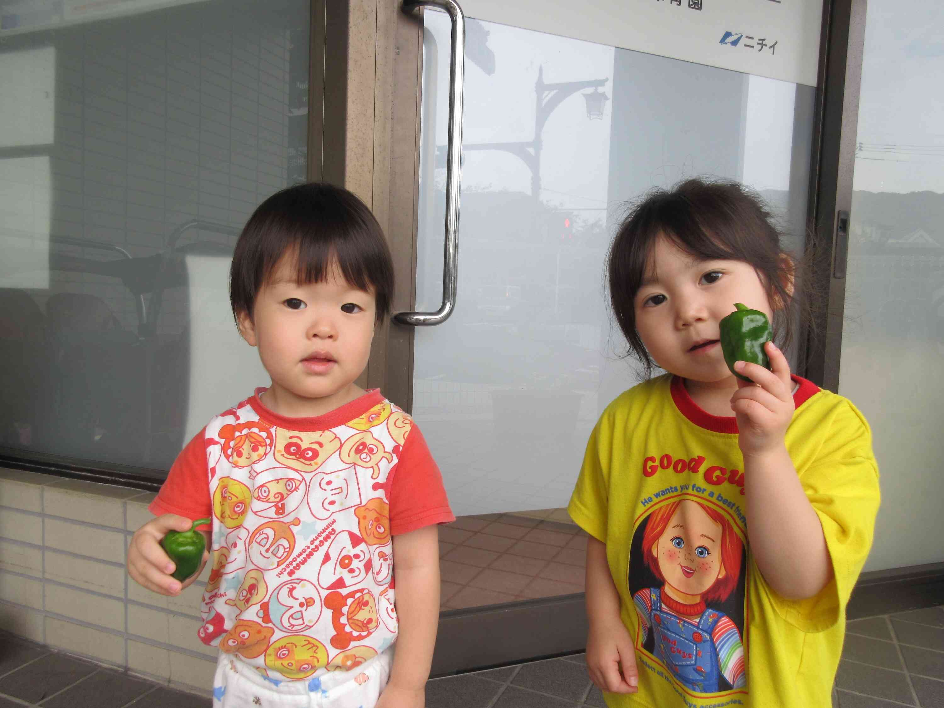 みてみて！みんなで育てたんだよ