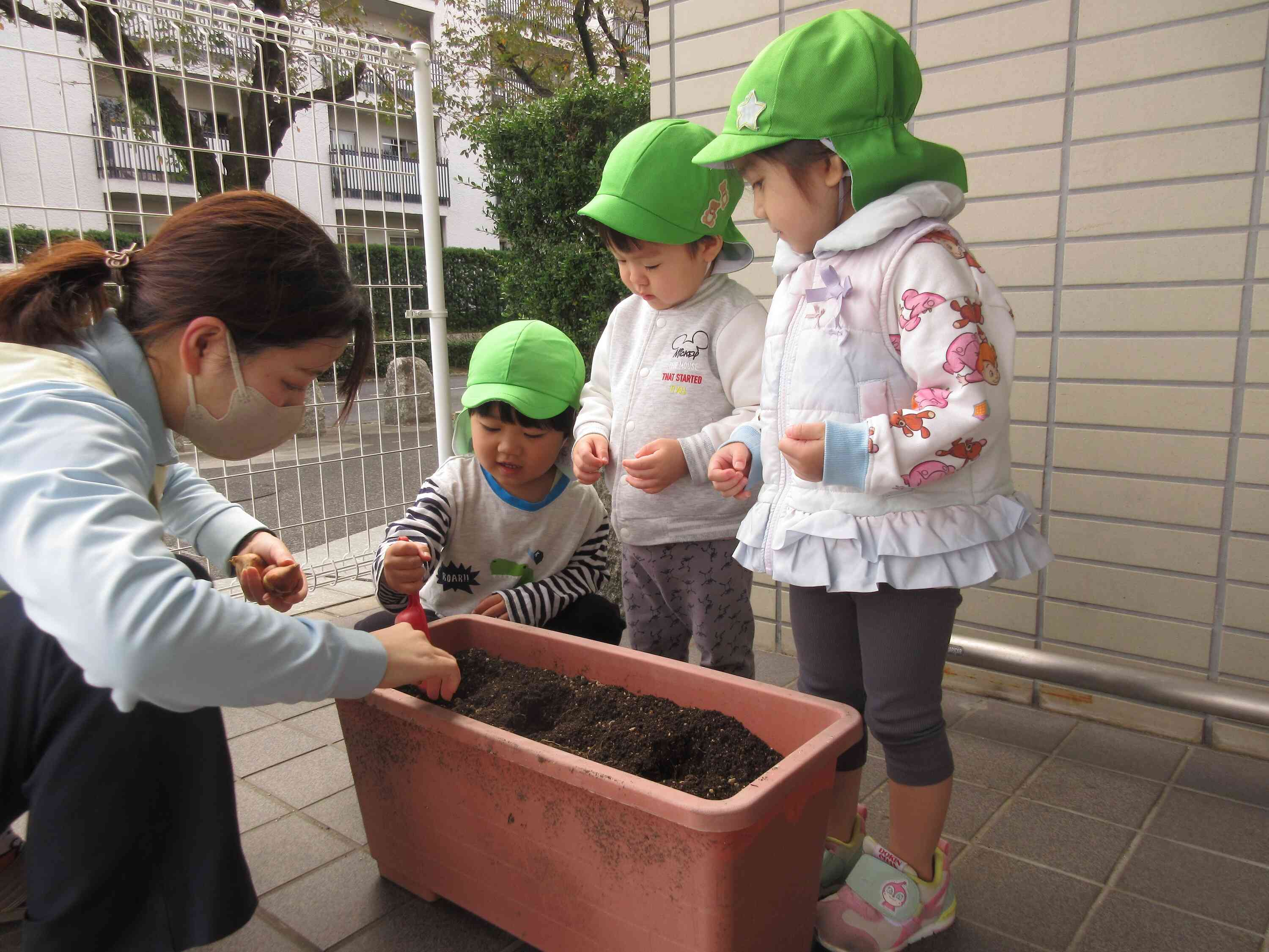 優しく植えようね