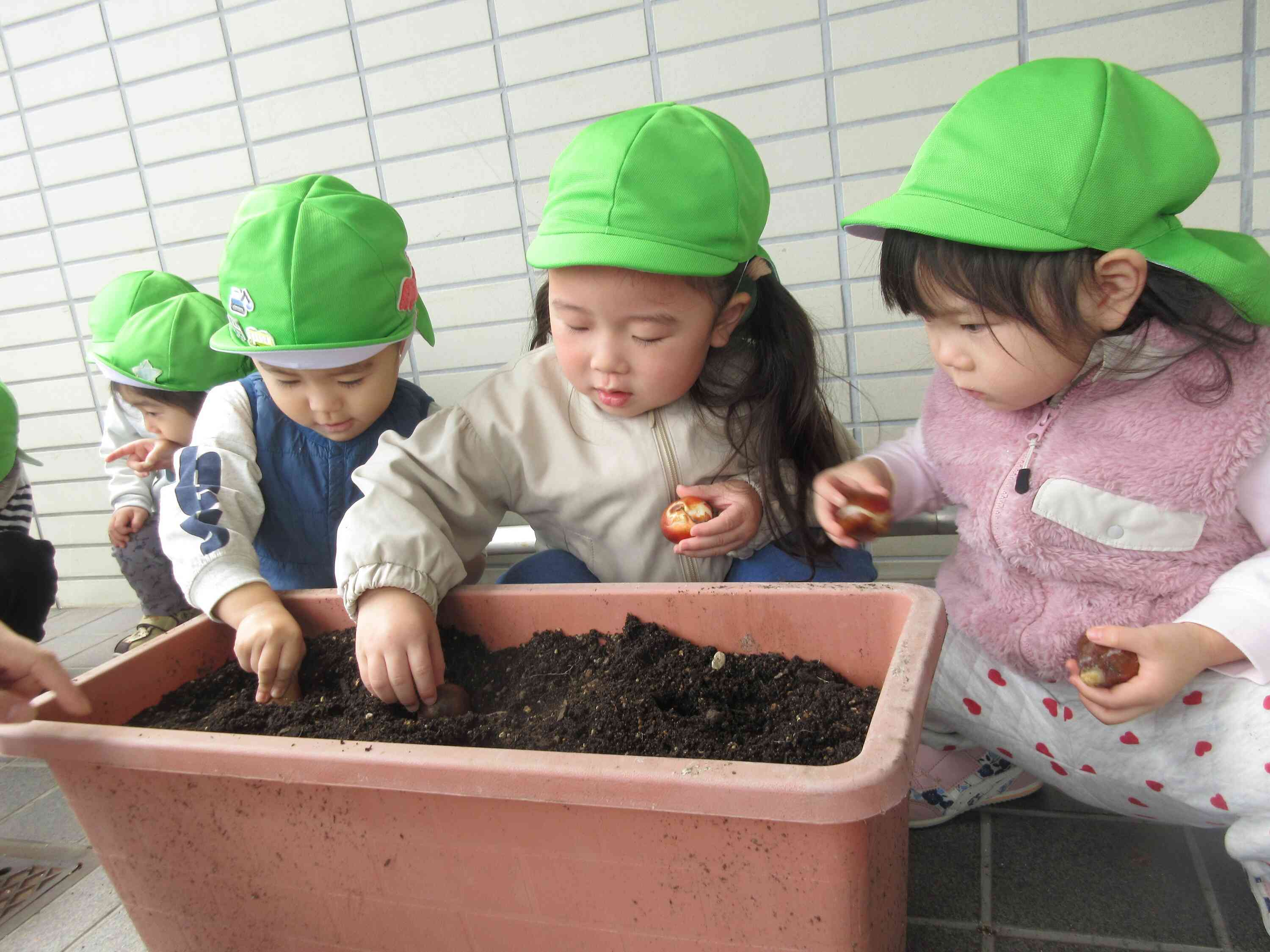 温かい土のお布団をそっと優しくかけてあげていました。