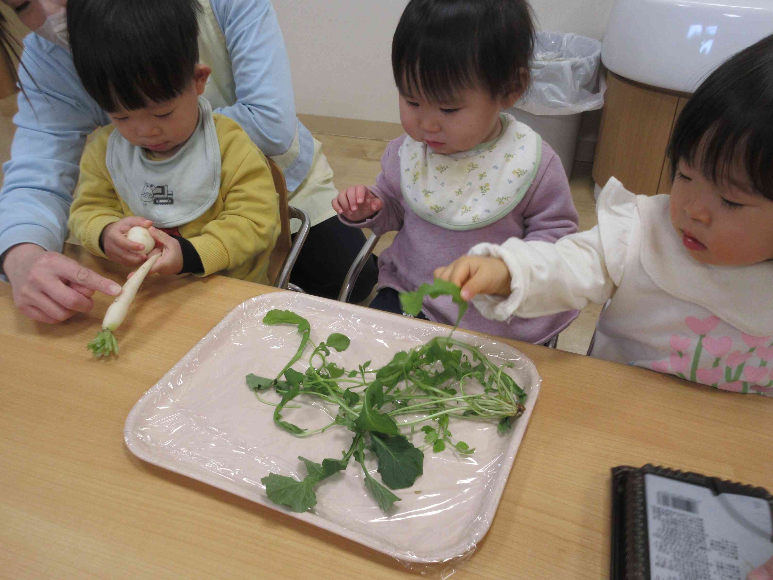 食育で春の七草を教えてもらいました