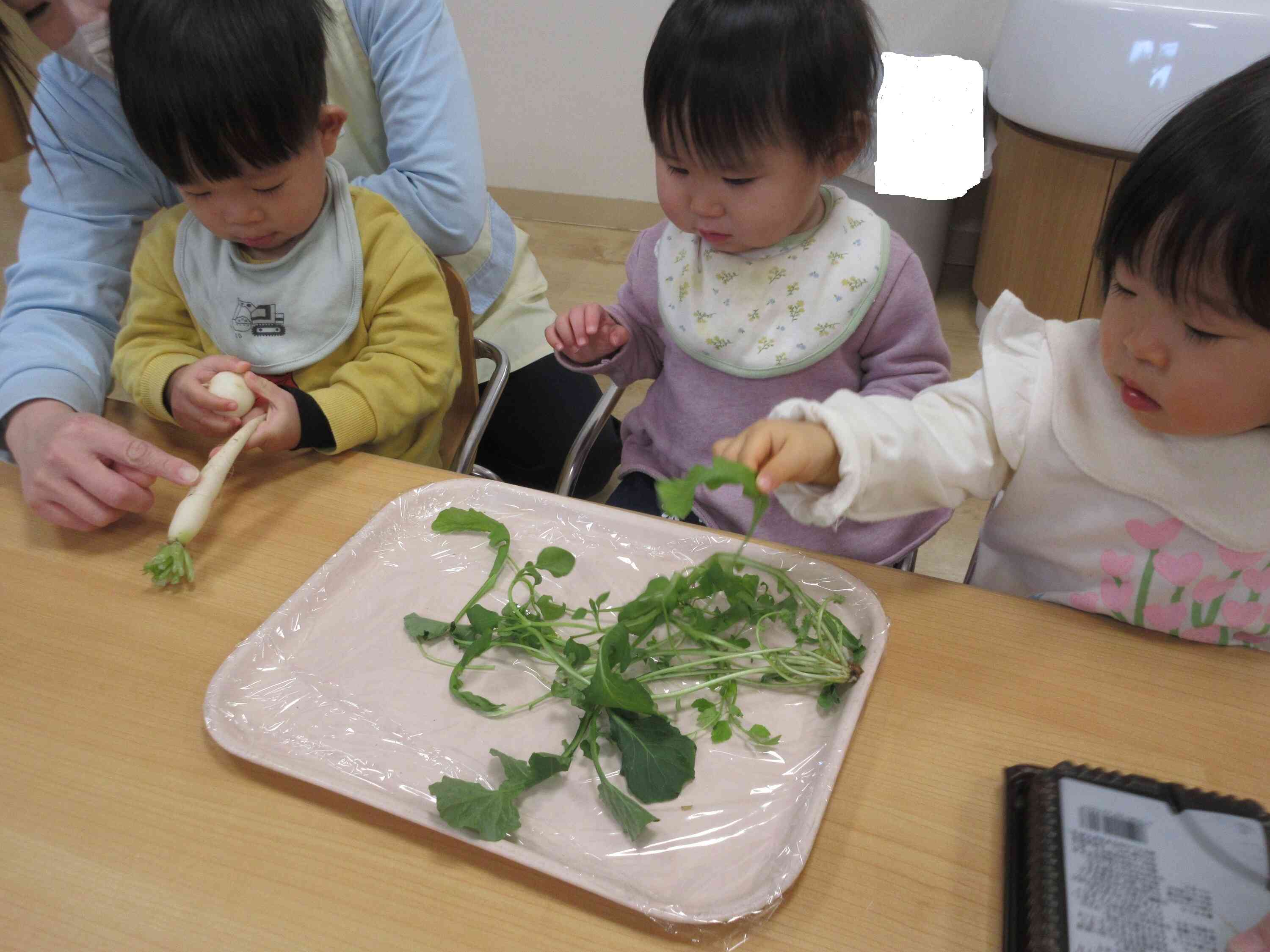 春の七草をおしえてもらいました