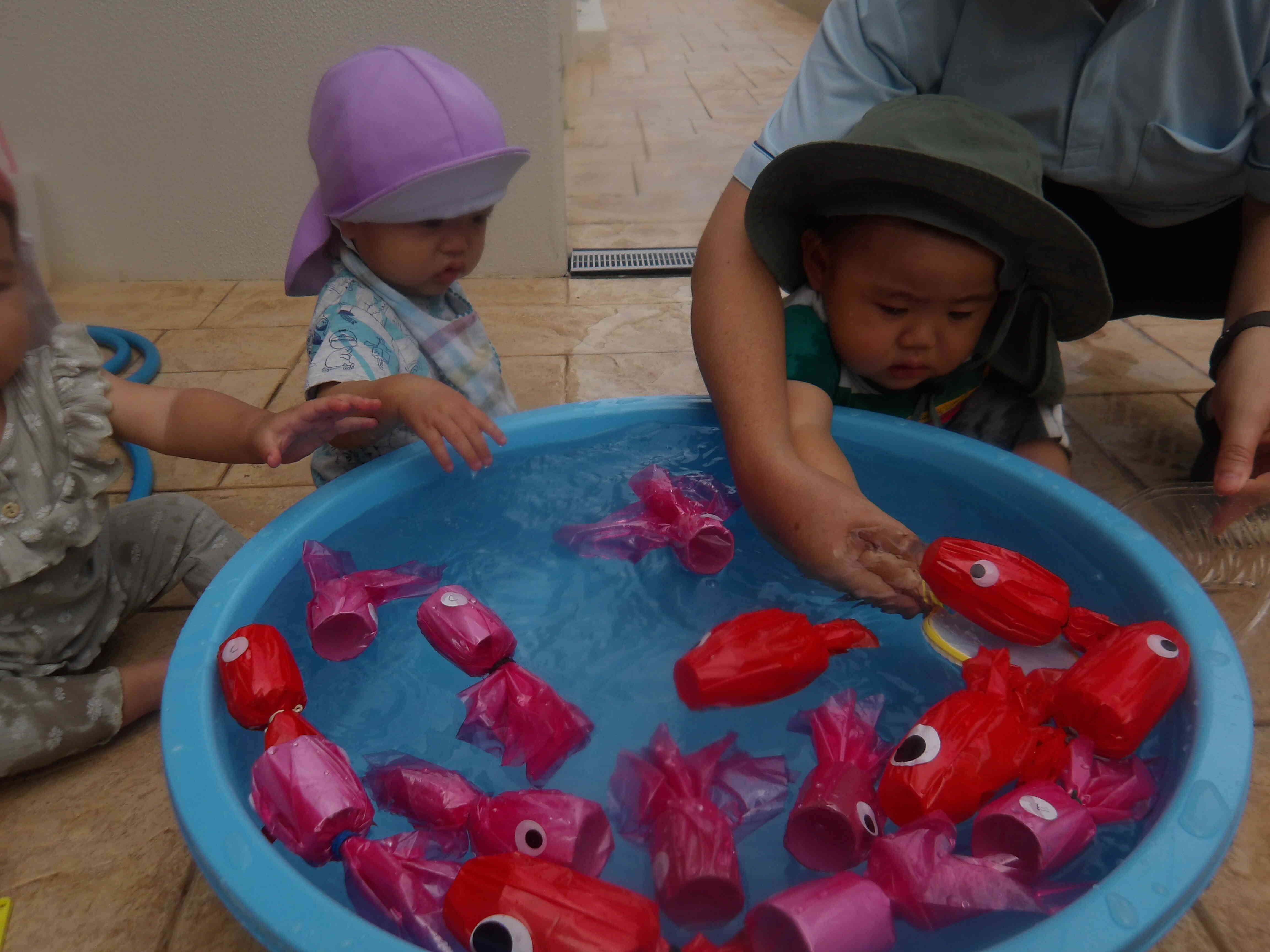 金魚すくい楽しいな(^▽^)/　(０歳児ひよこ組)