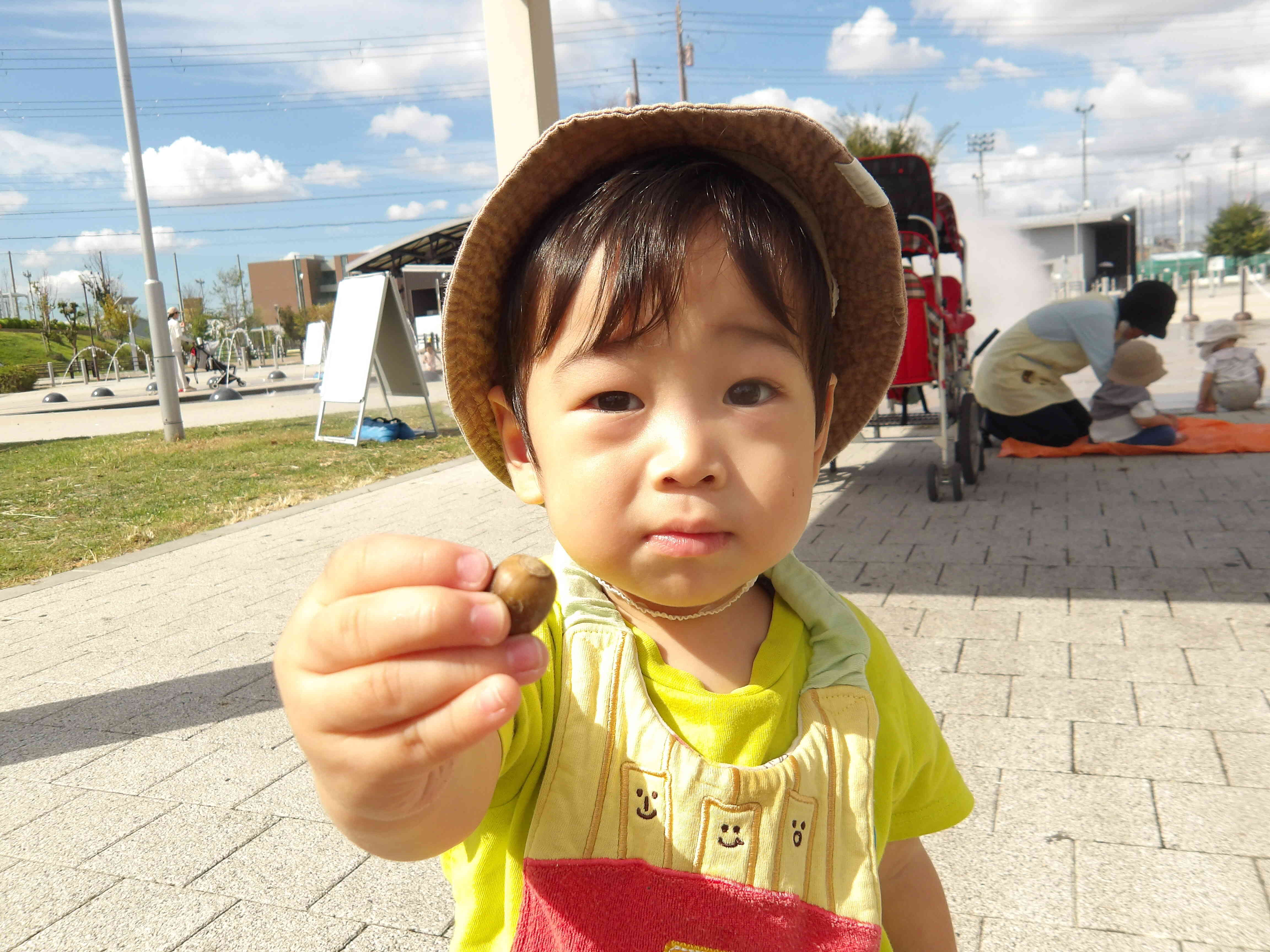どんぐりみ～つけた！！