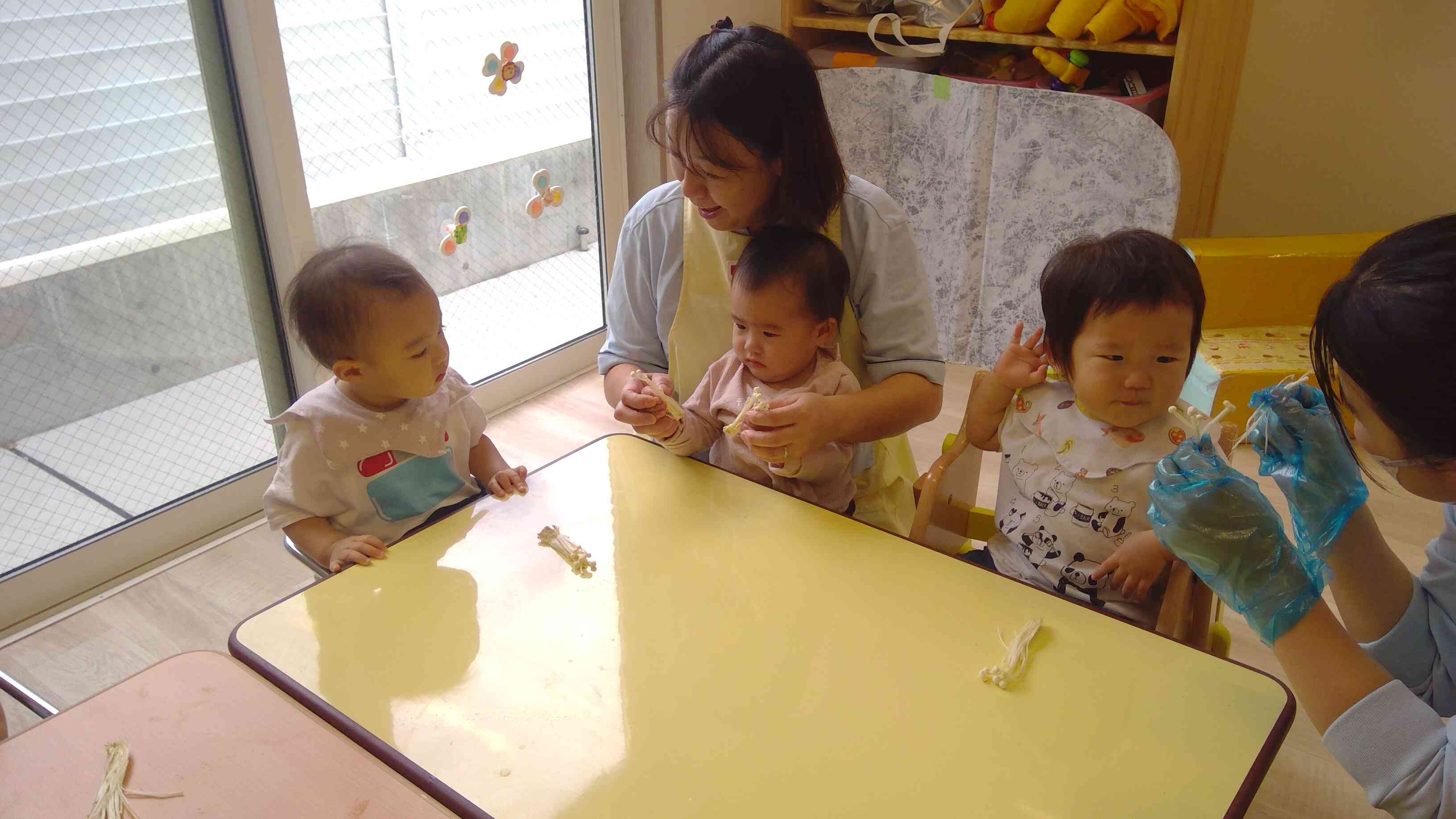 きのこに触れてみよう 乳児クラス