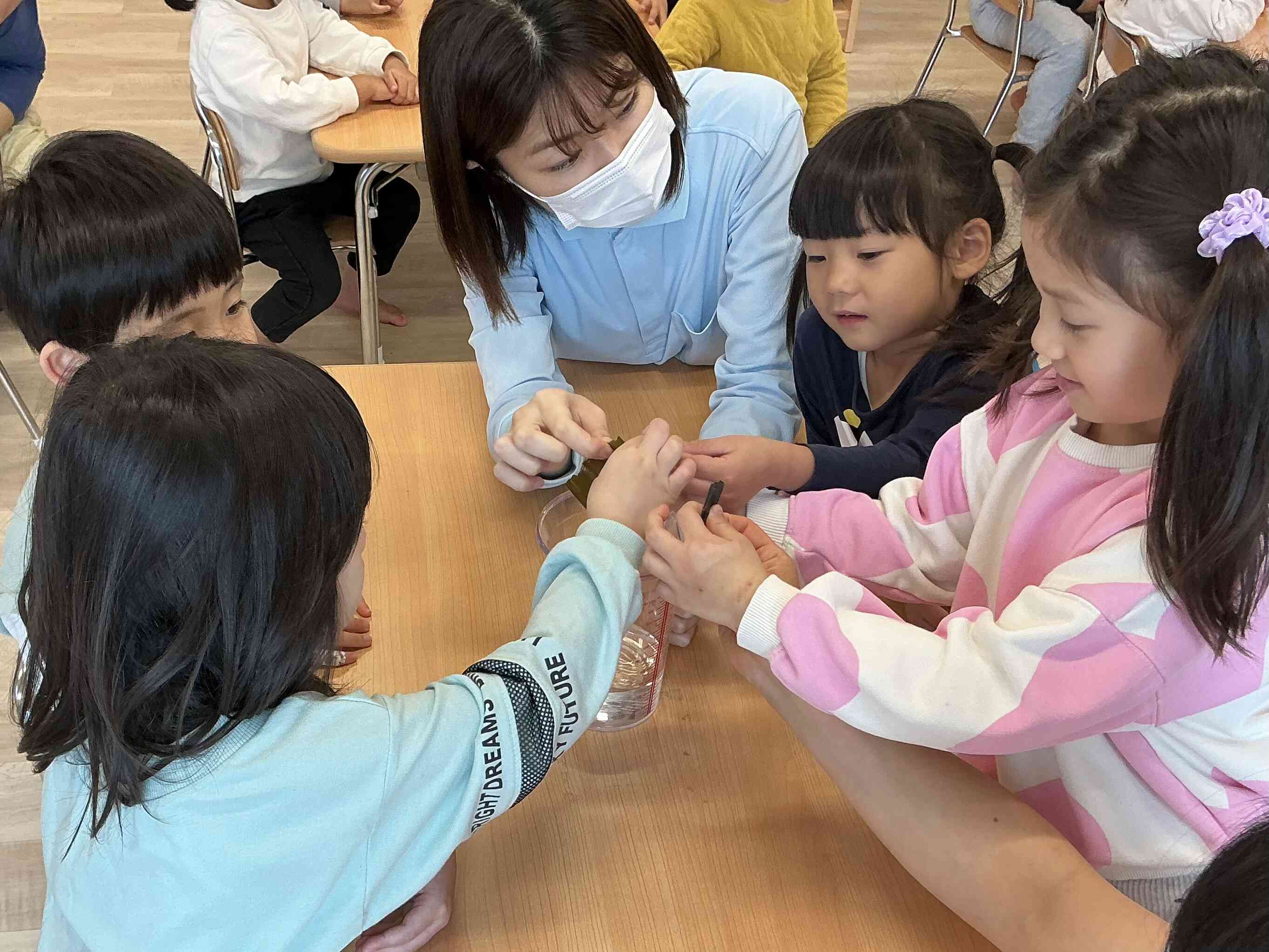 ぬるぬるしている昆布をさわったよ