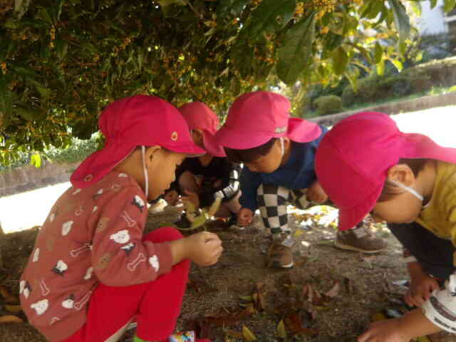 アリさんもいるかなあ？