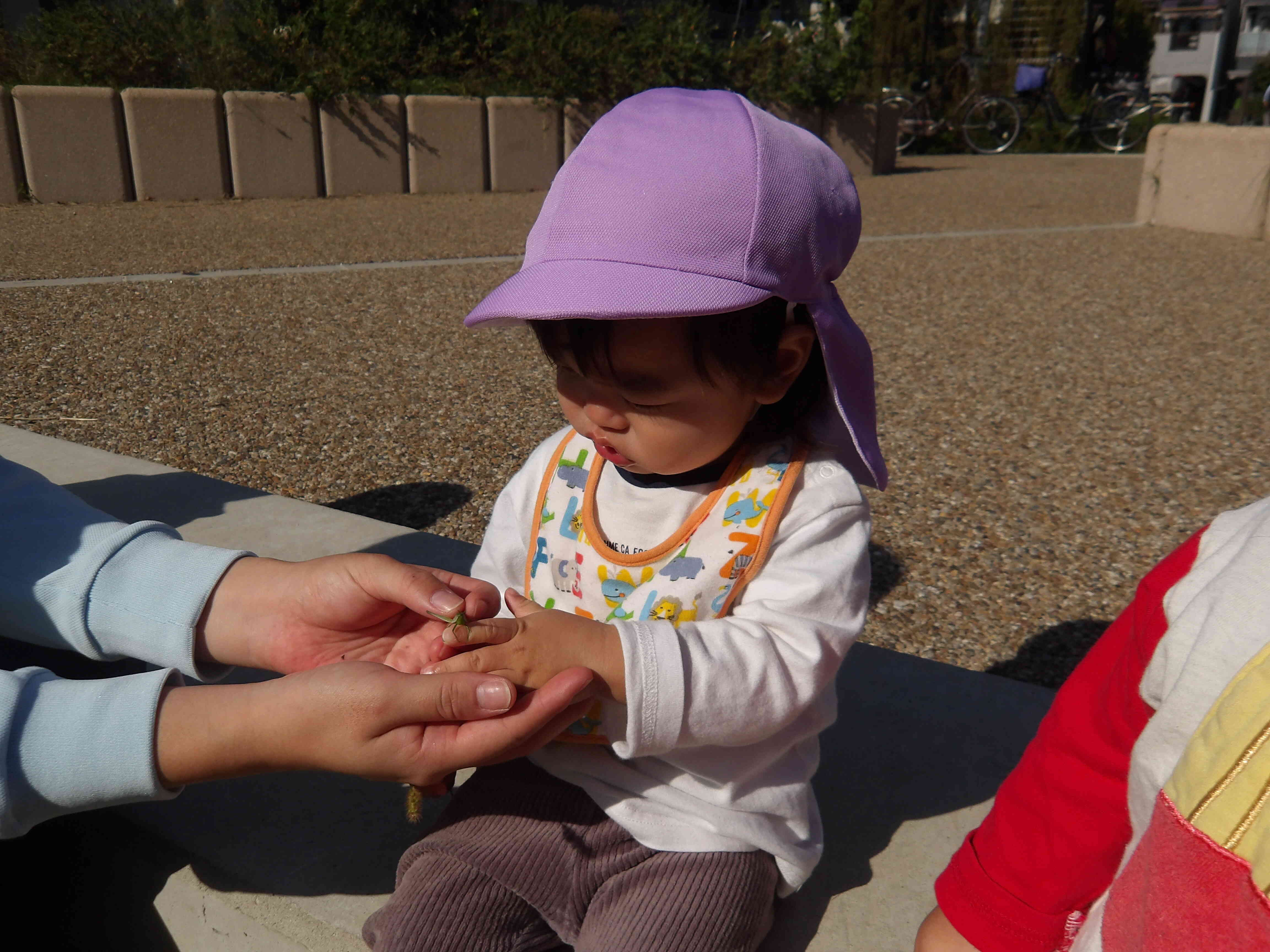 虫に興味深々！！