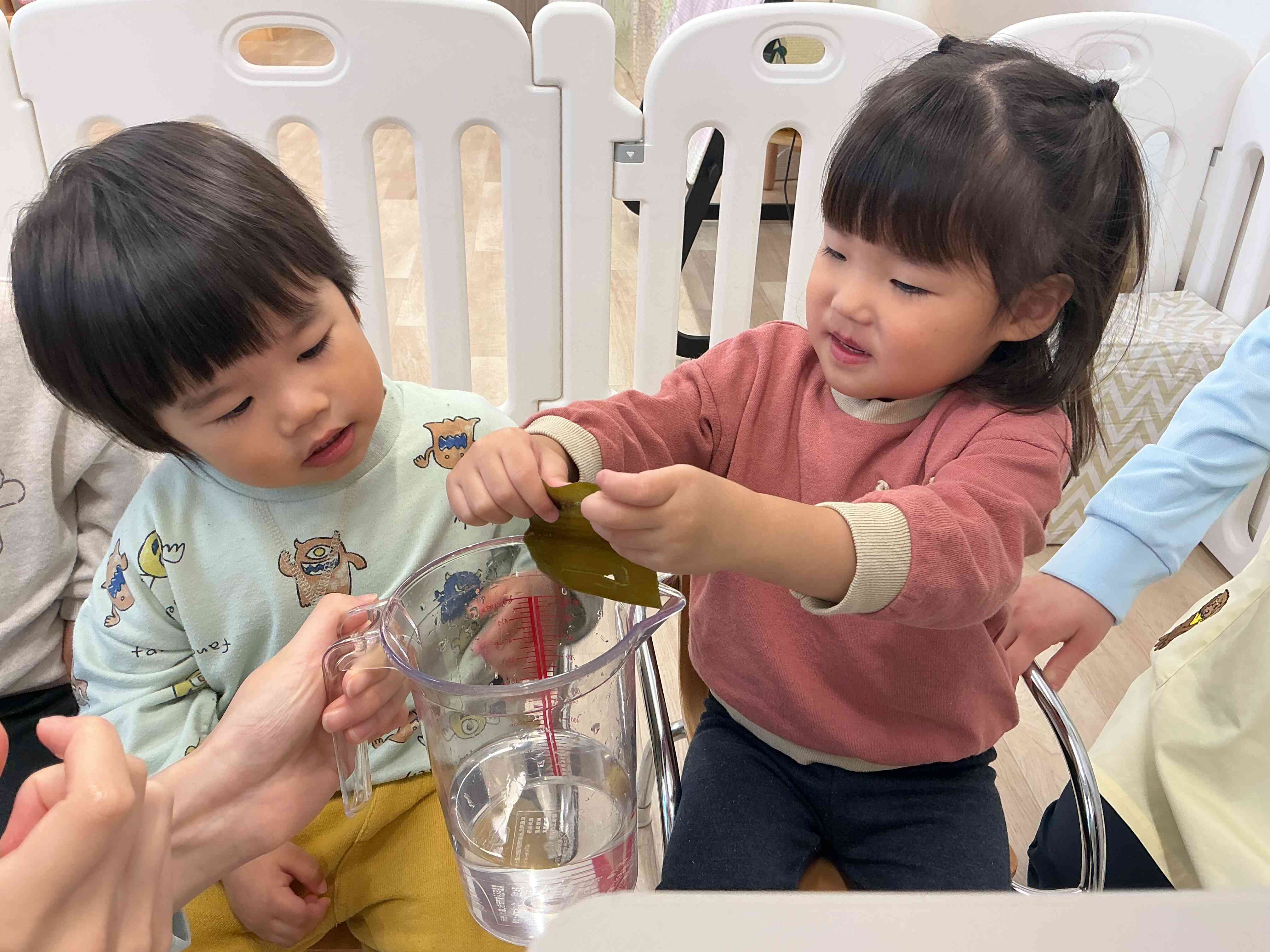 ぬるぬる昆布をさわってみよう！