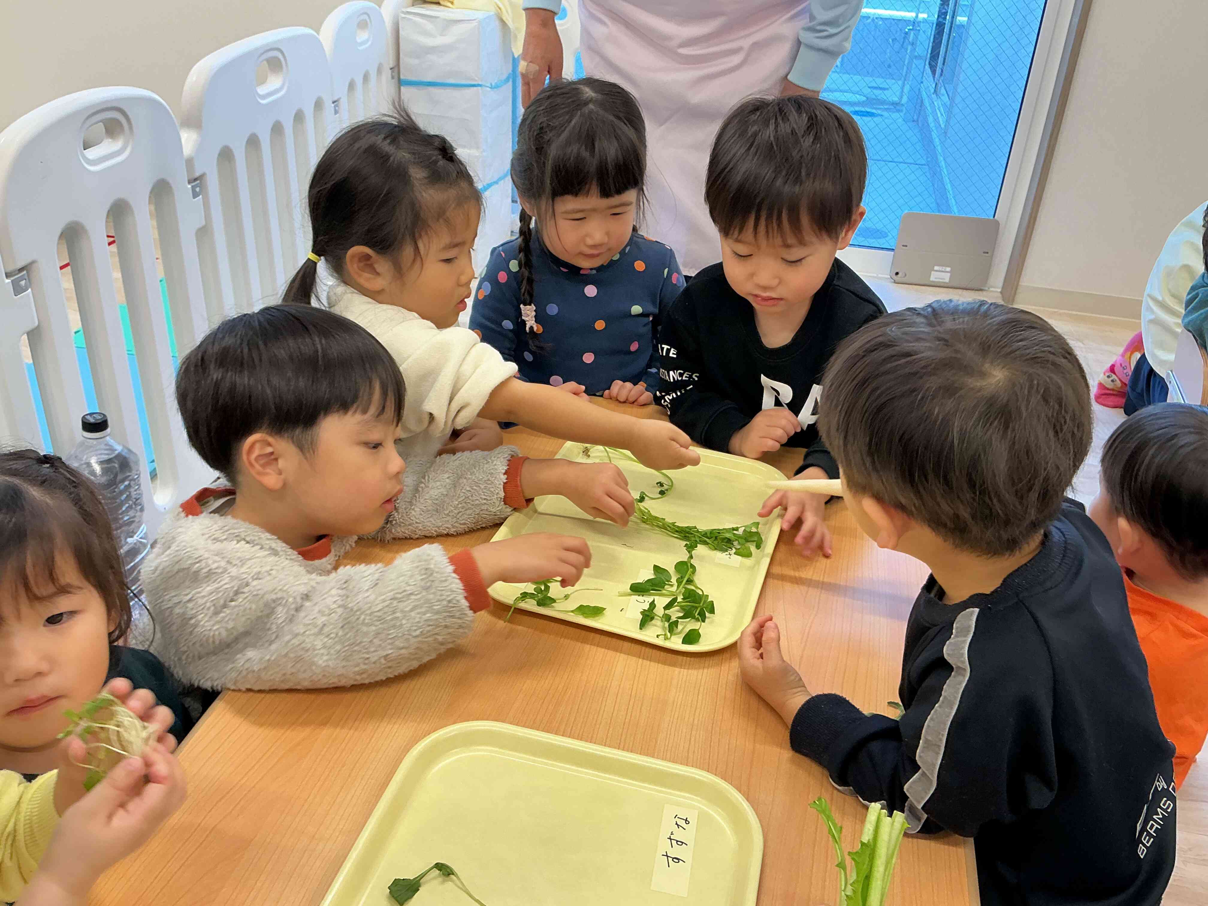 「せりが一番匂いがするよ～！」