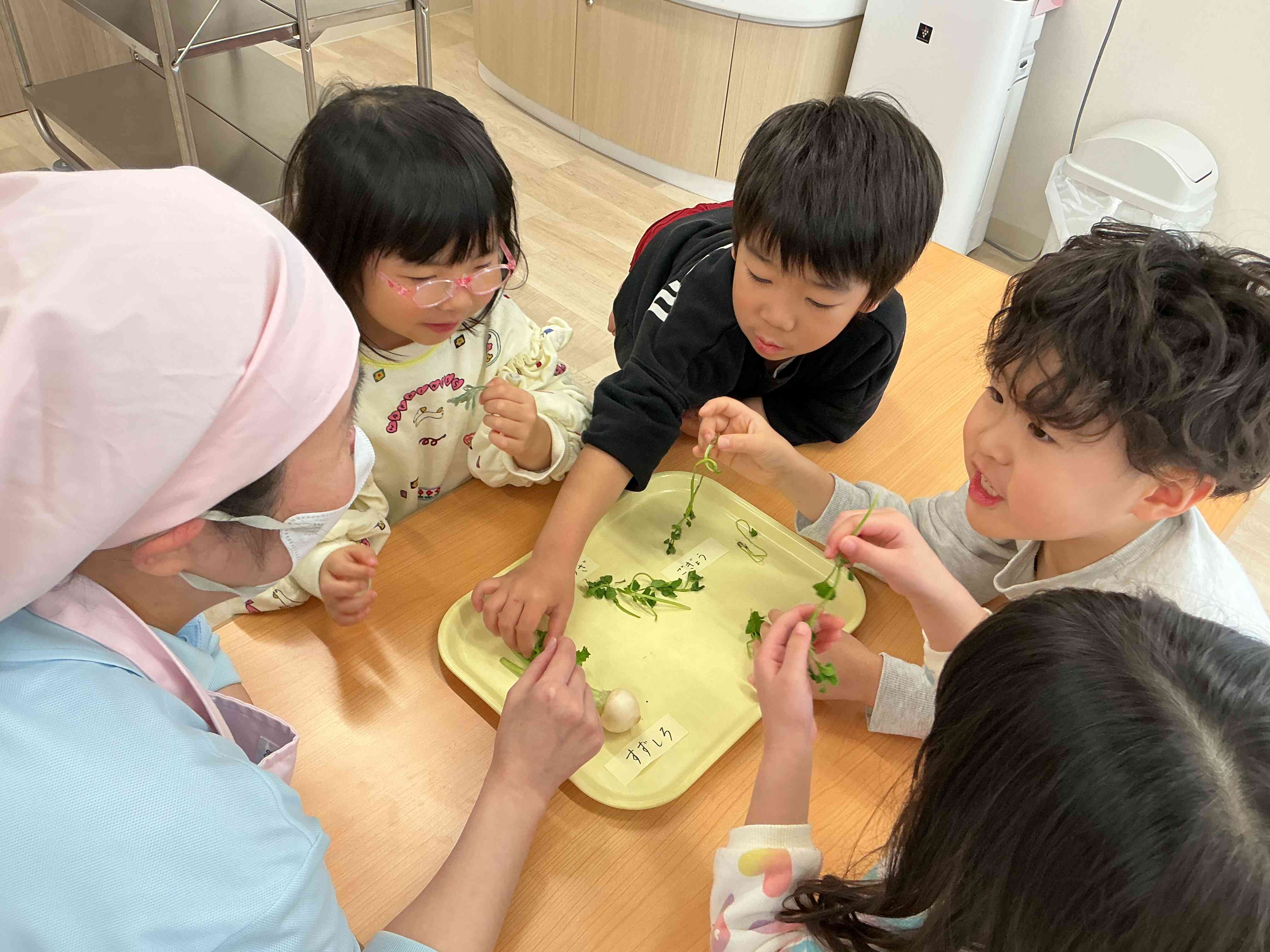 「先生、この草なーに？」