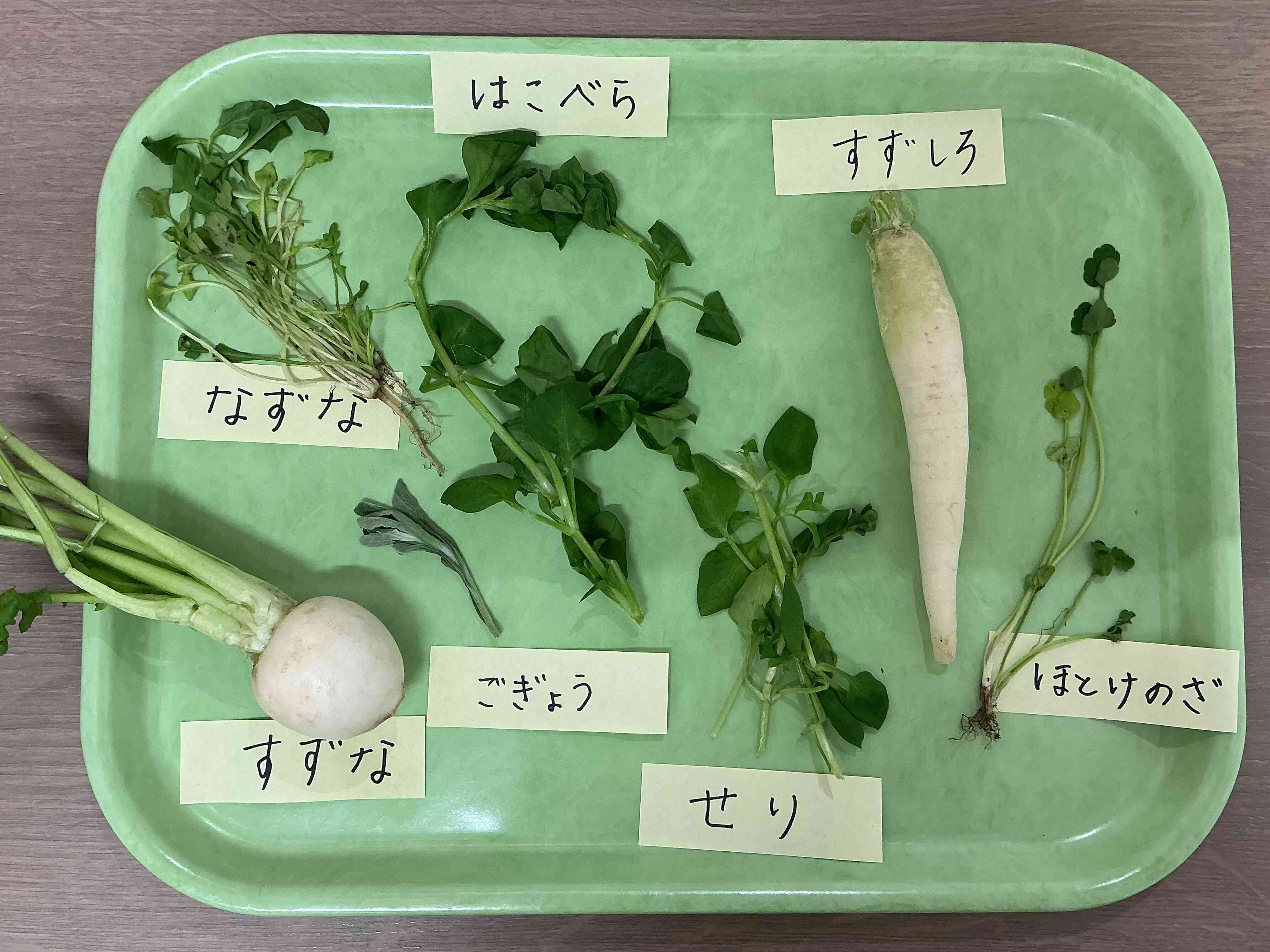 「春の七草」の名前を言ってみよう♪