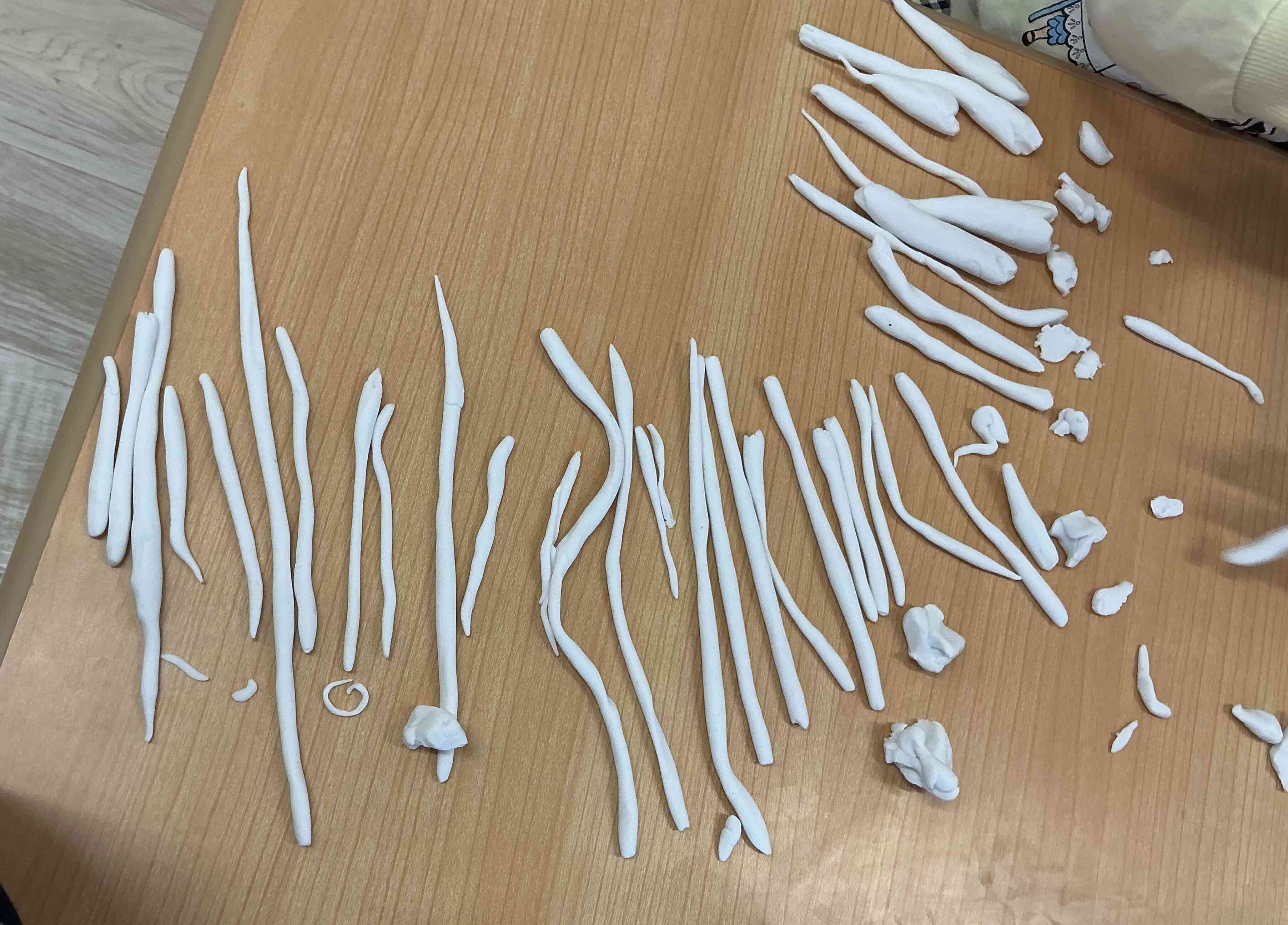 大量のヘビさんがいたよ。うさぎ組にはヘビ職人がいるみたいですね!