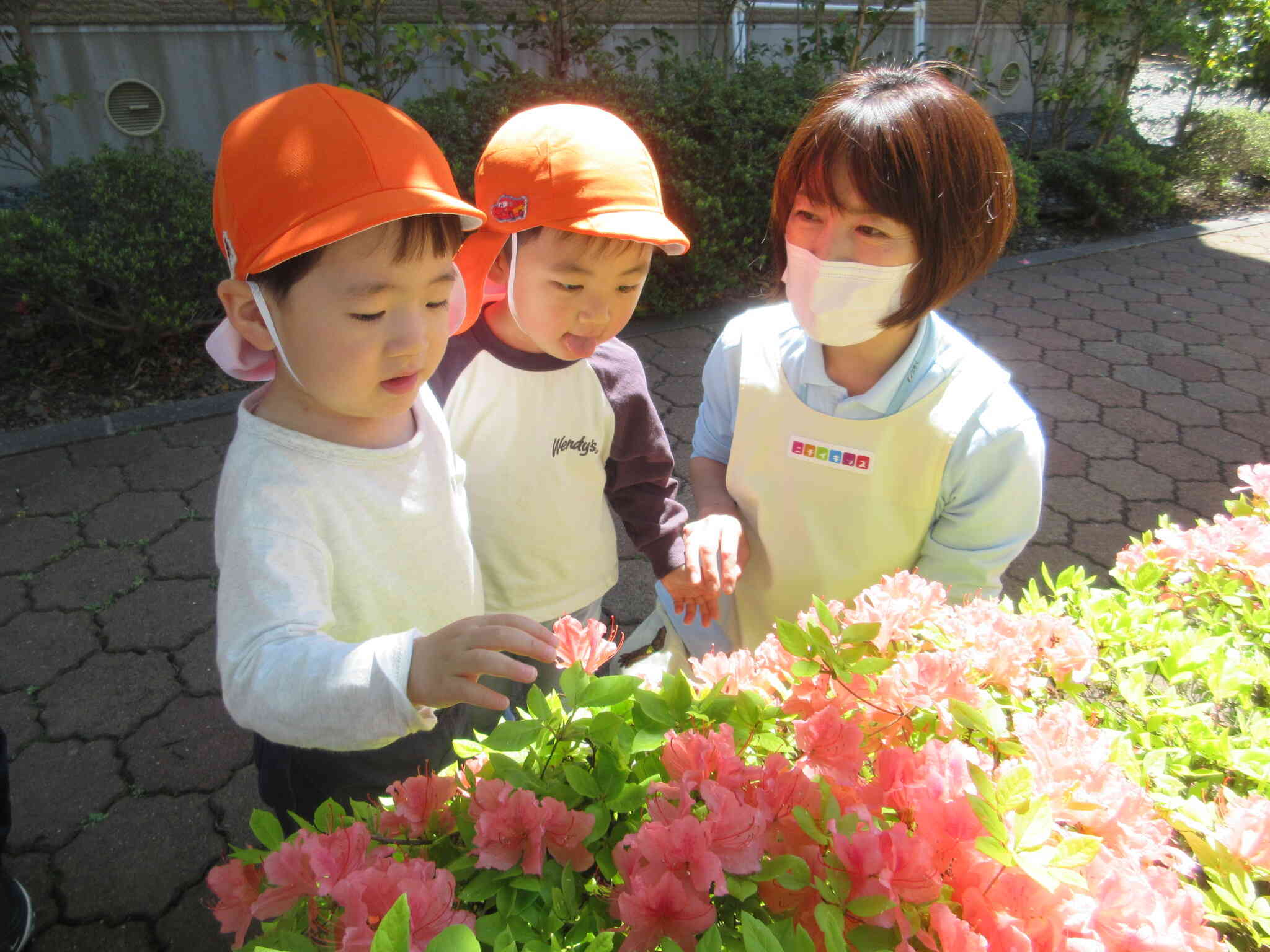 お花きれいだったね