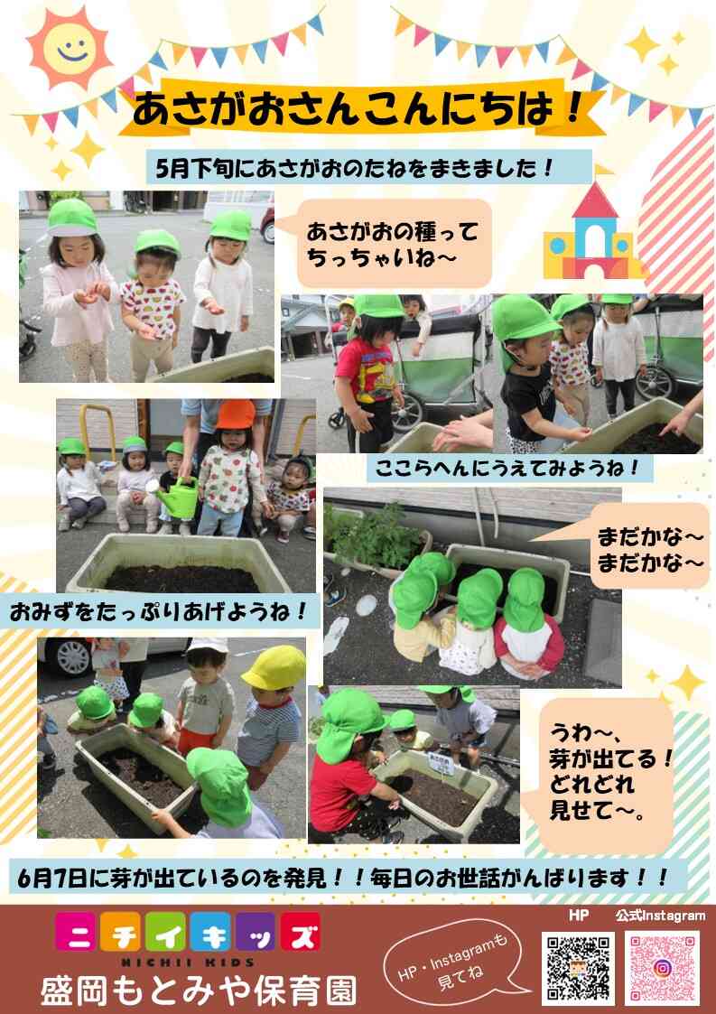 あさがおさん こんにちは