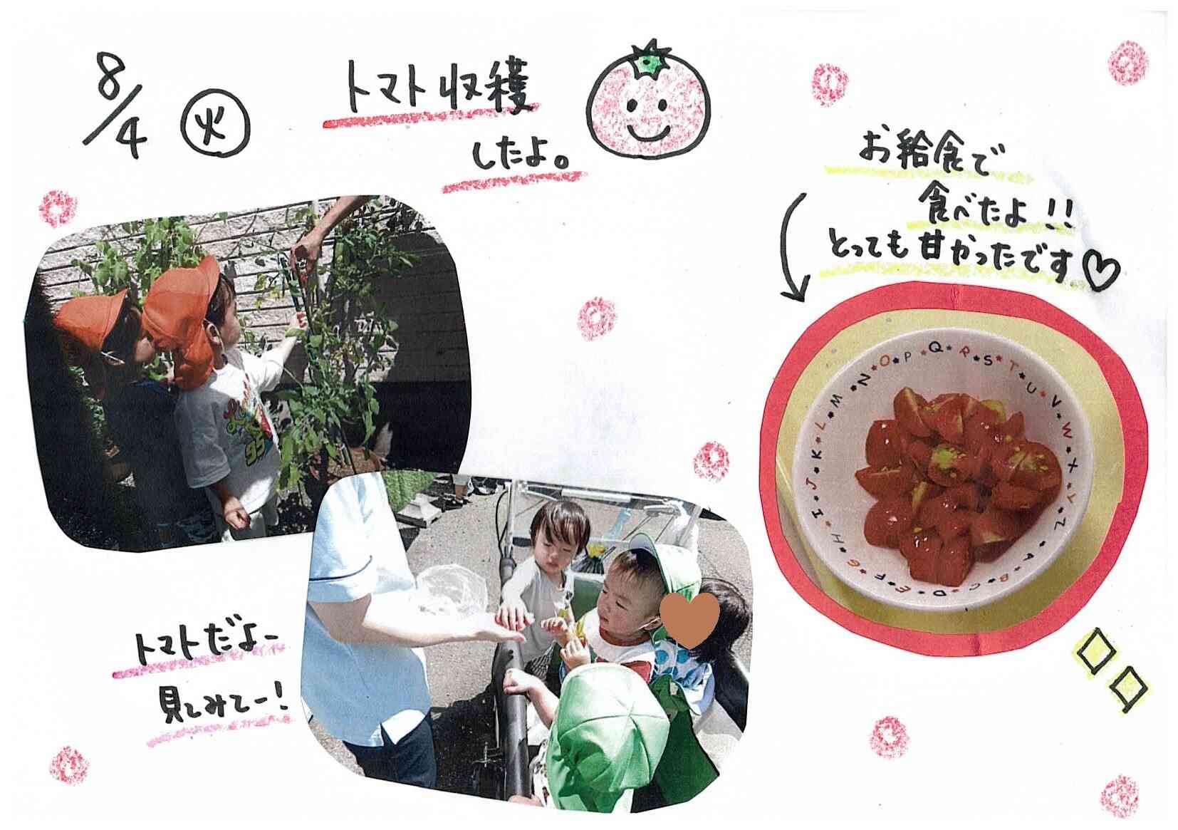 おもいっきり写真館【美味しくできたよ プチトマト】