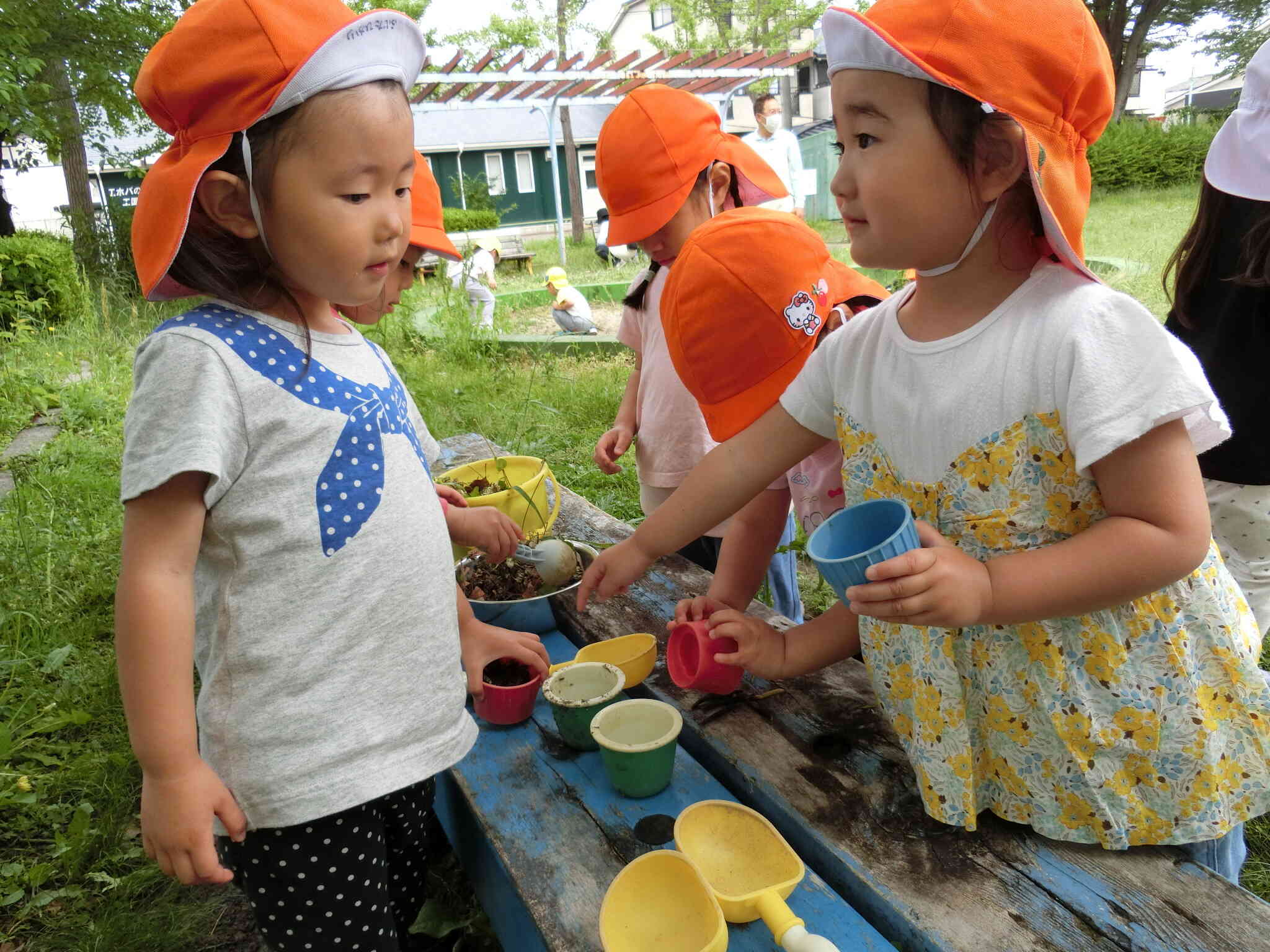 草花を使っておうちごっこ!
