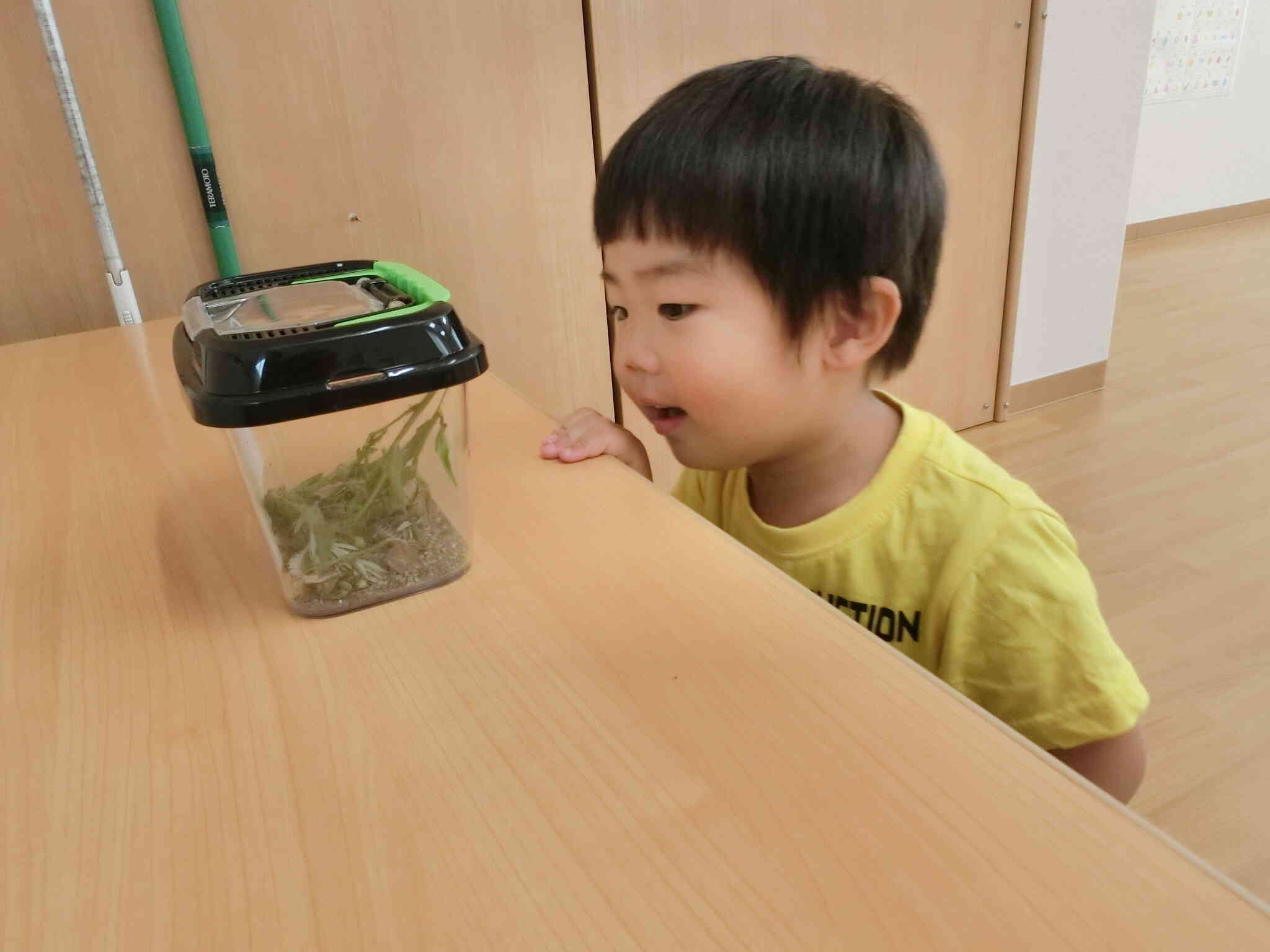 りす組　てんとう虫と一緒に、、、