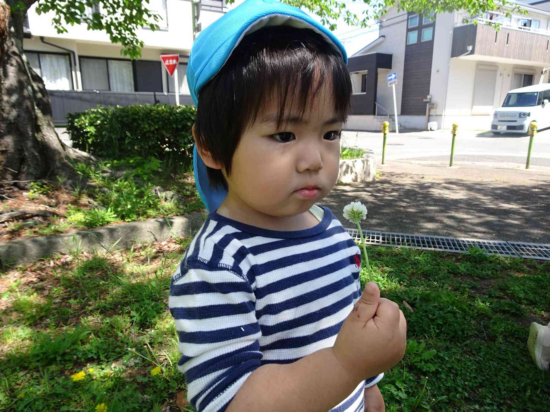 あれ？飛ばない・・・？