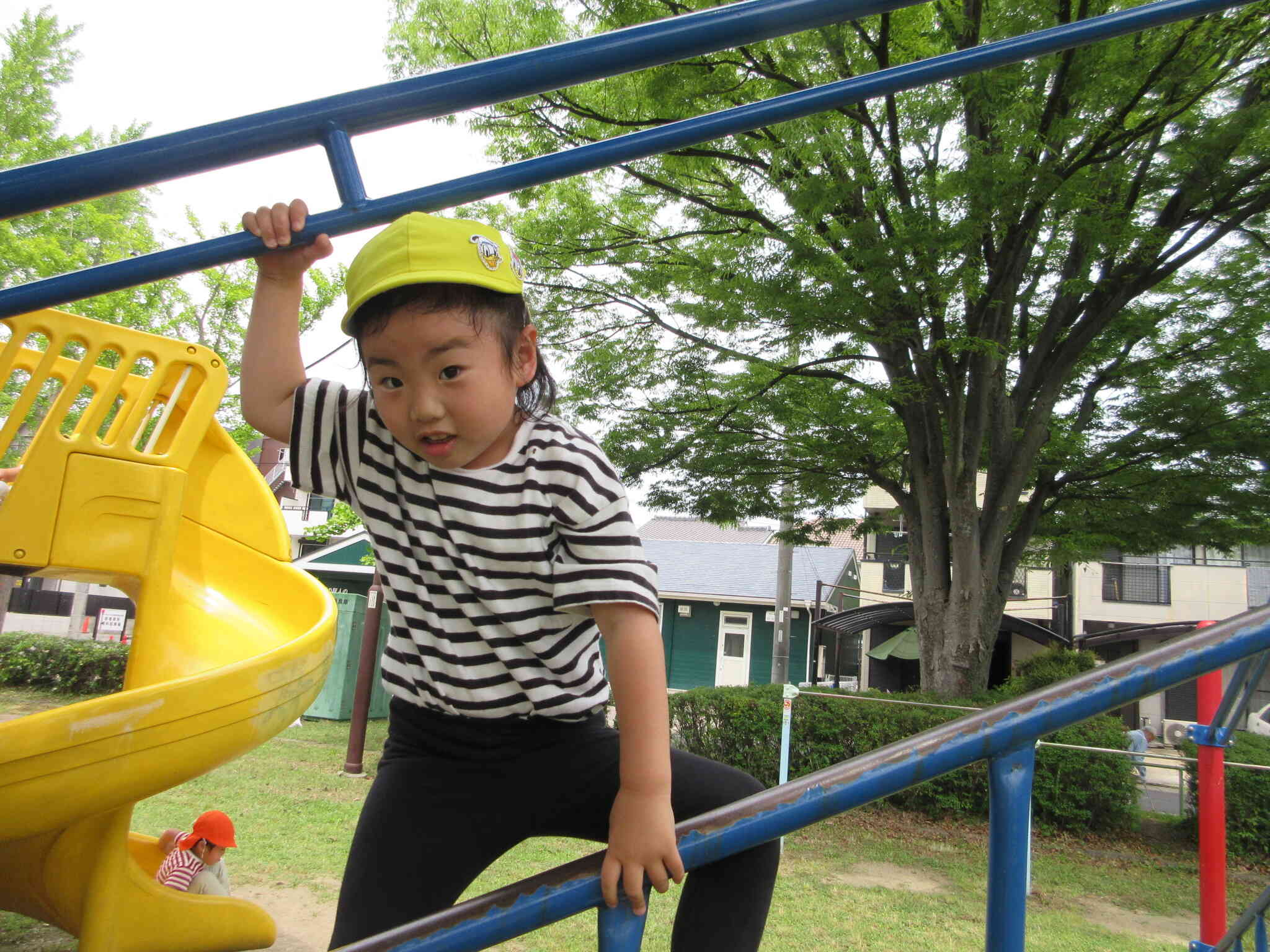 高い所にも登れるよ！