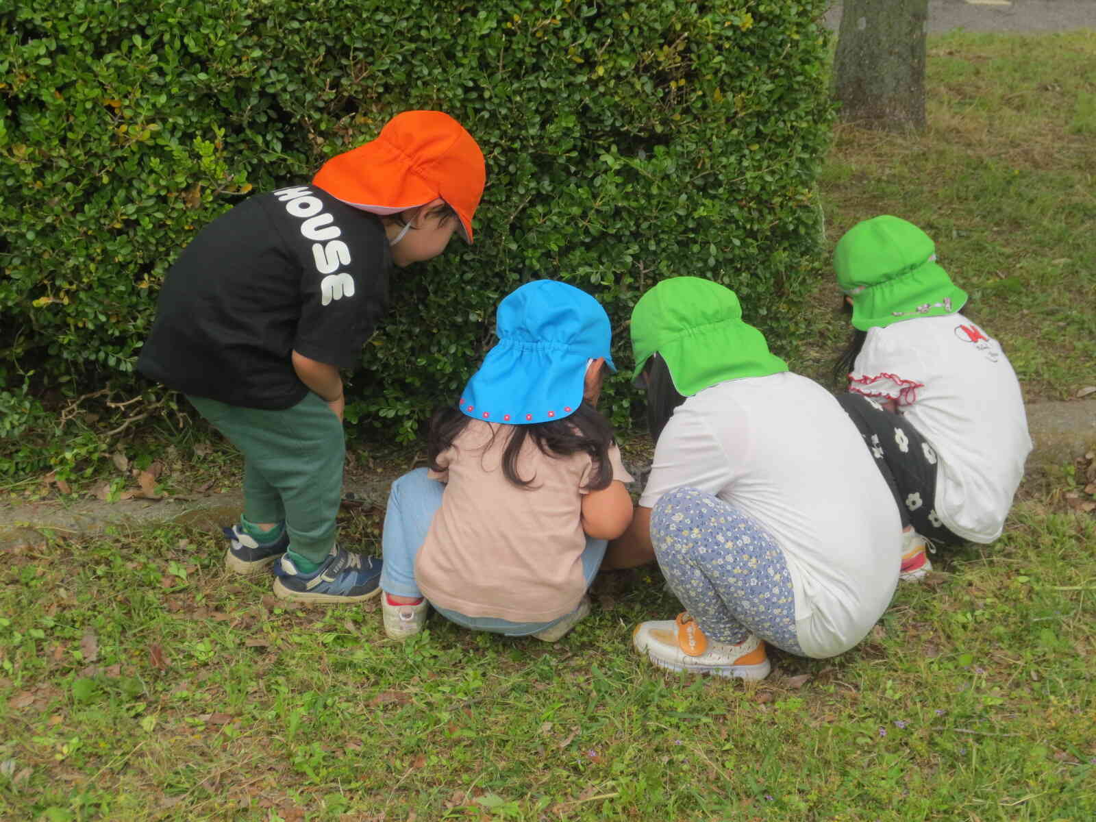 その後は・・・