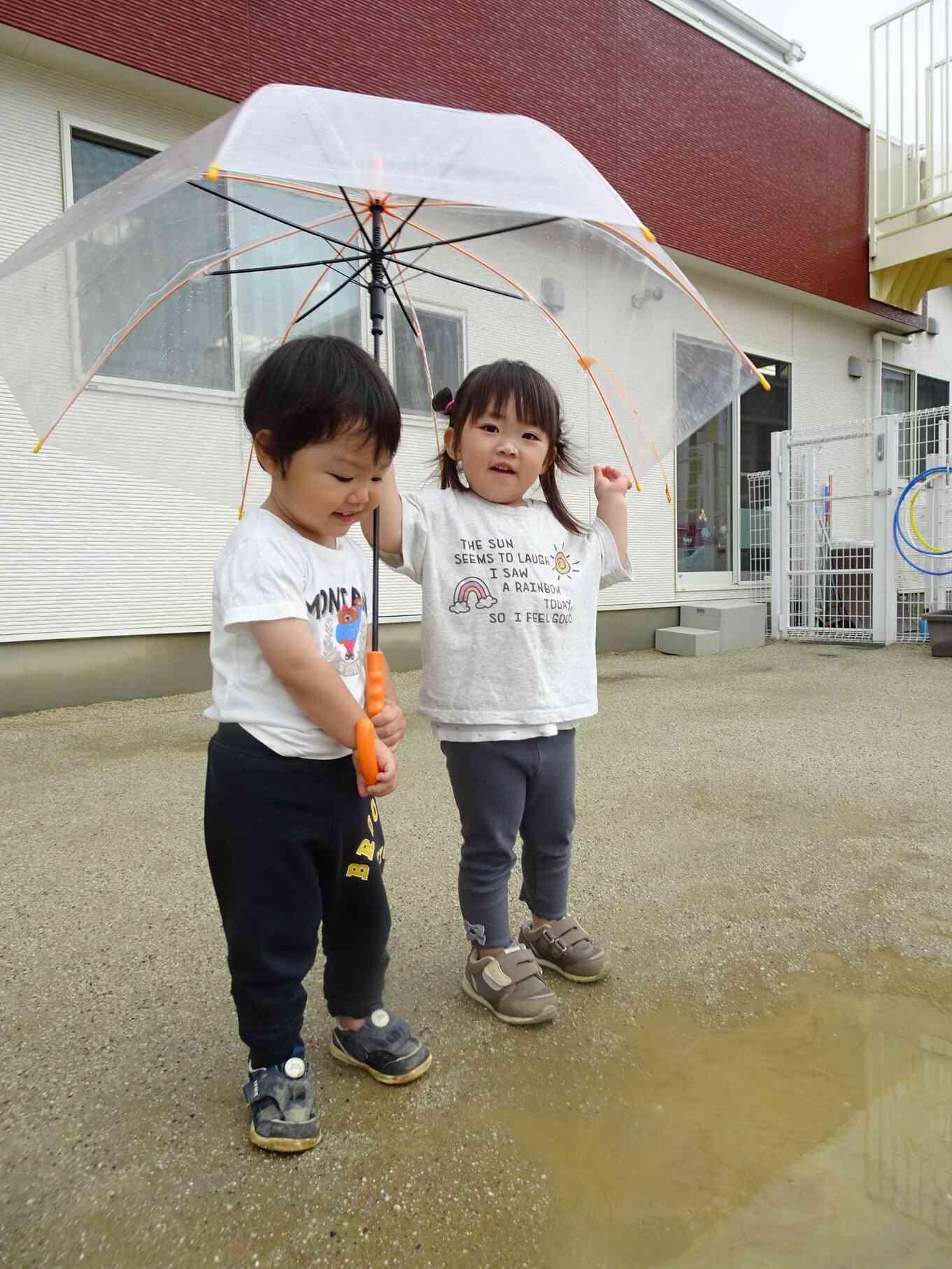 傘をさして雨の日のお散歩！水たまりみーつけた！