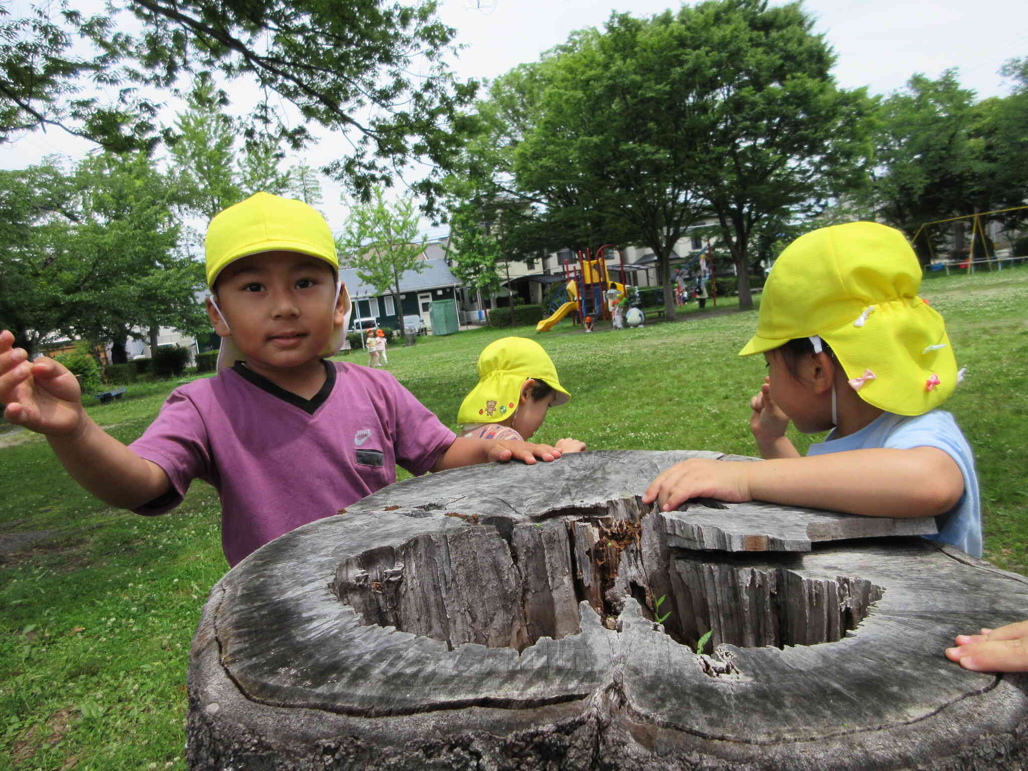 公園でもいっぱい遊んだよ！