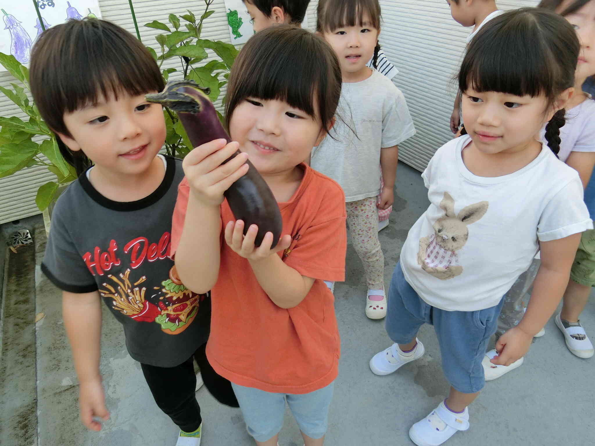 紫ナスも収穫出来ました！「ナスがいっぱいの麻婆茄子が食べたいな！