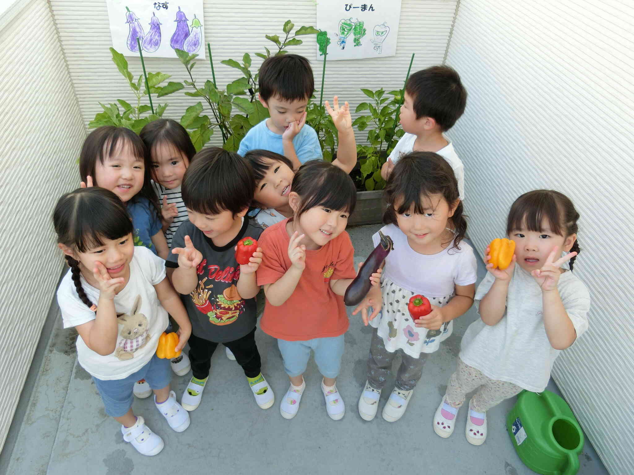 野菜の収穫第一弾！