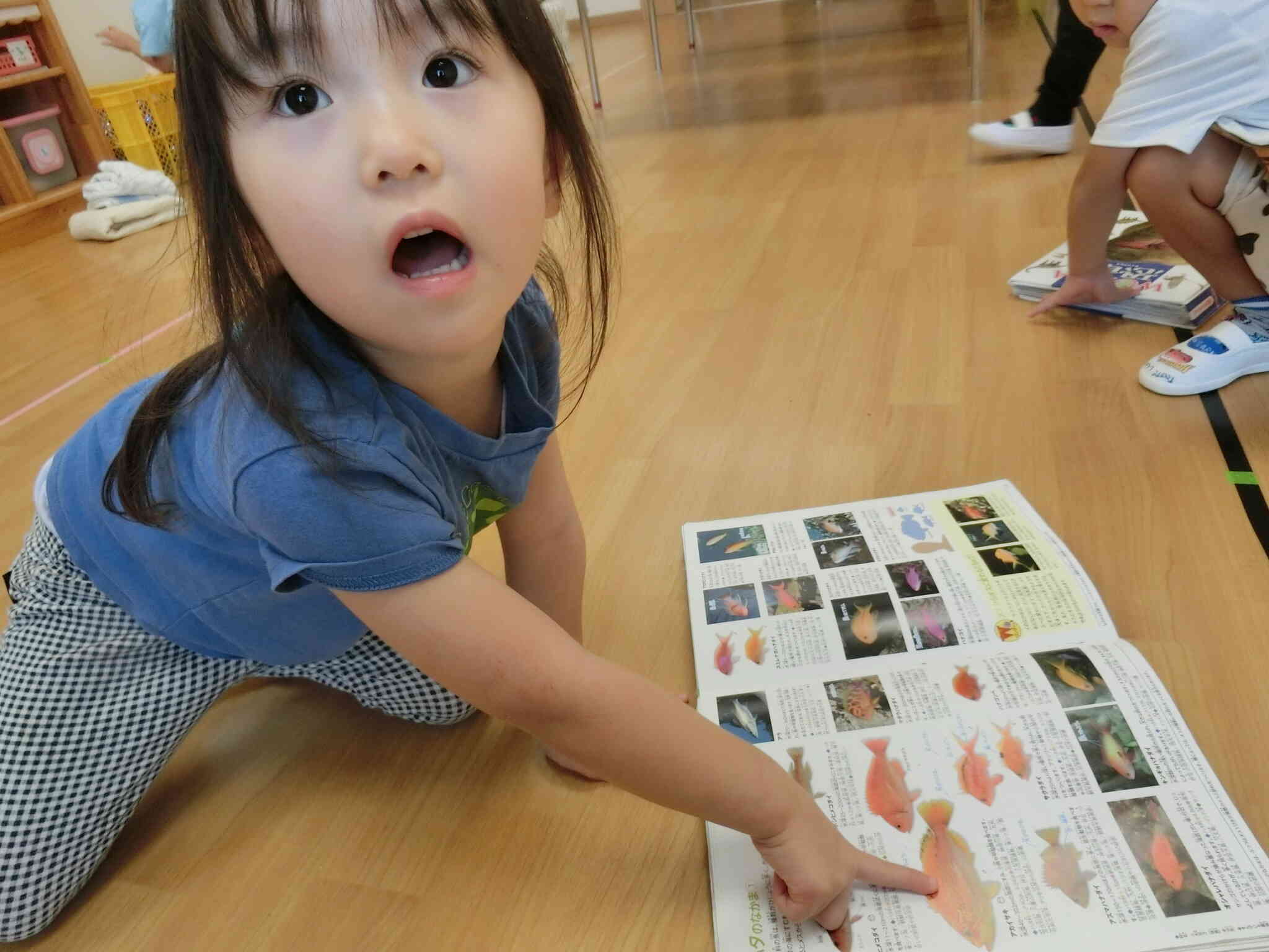 あ！これアマダイじゃない！？？