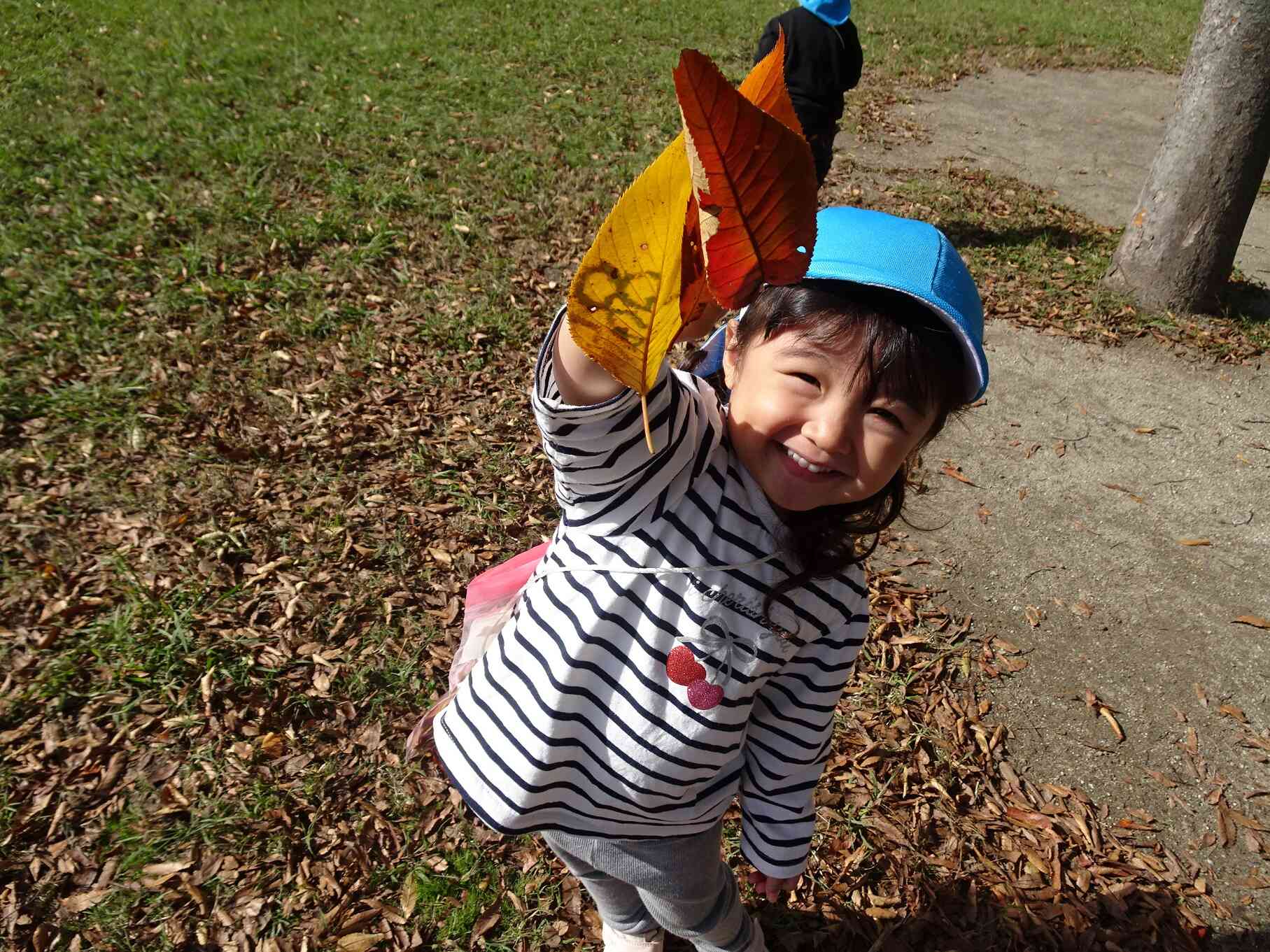 赤や黄色の綺麗な葉っぱみーつけた！