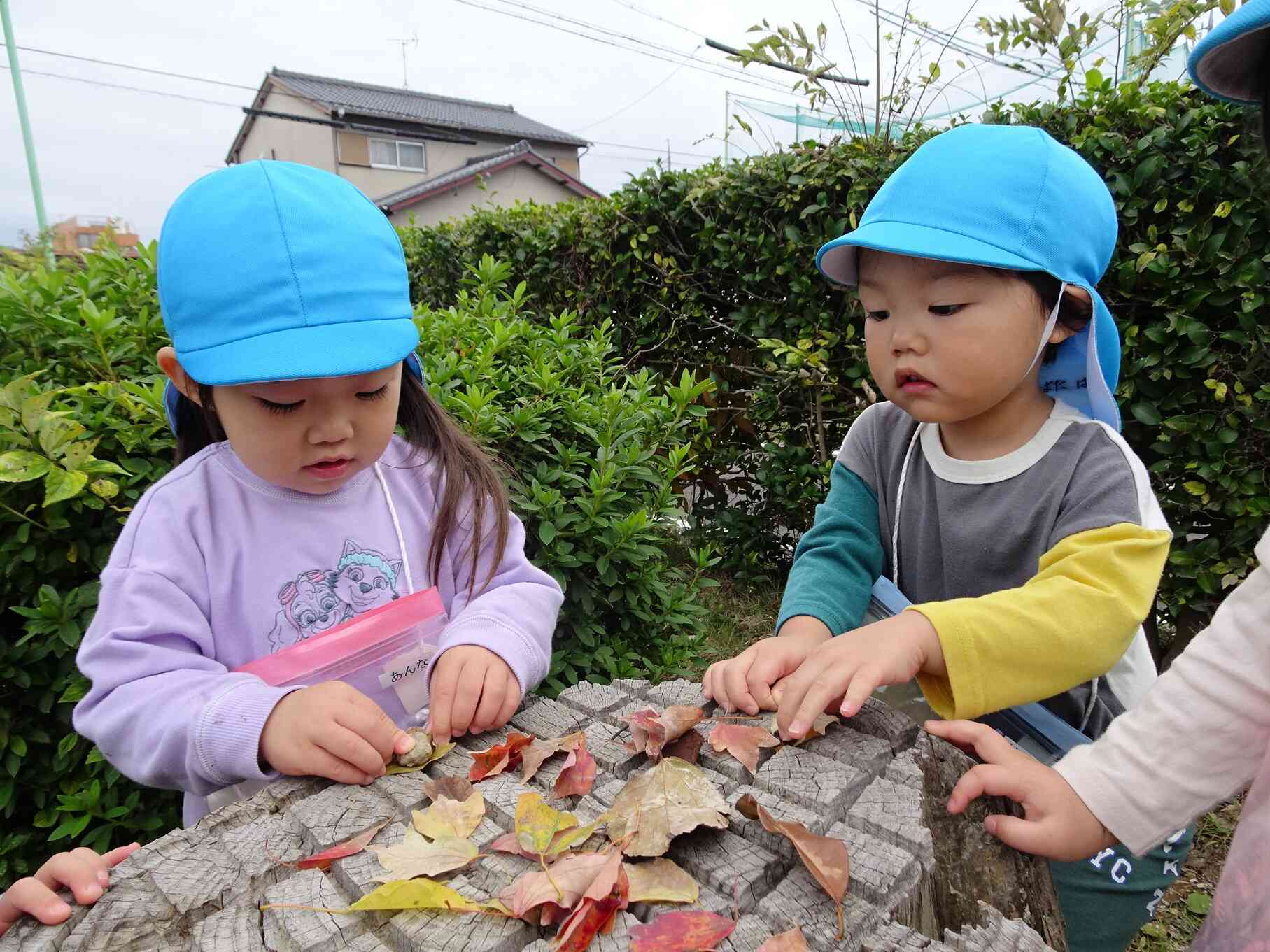 お寿司屋さんが開店！