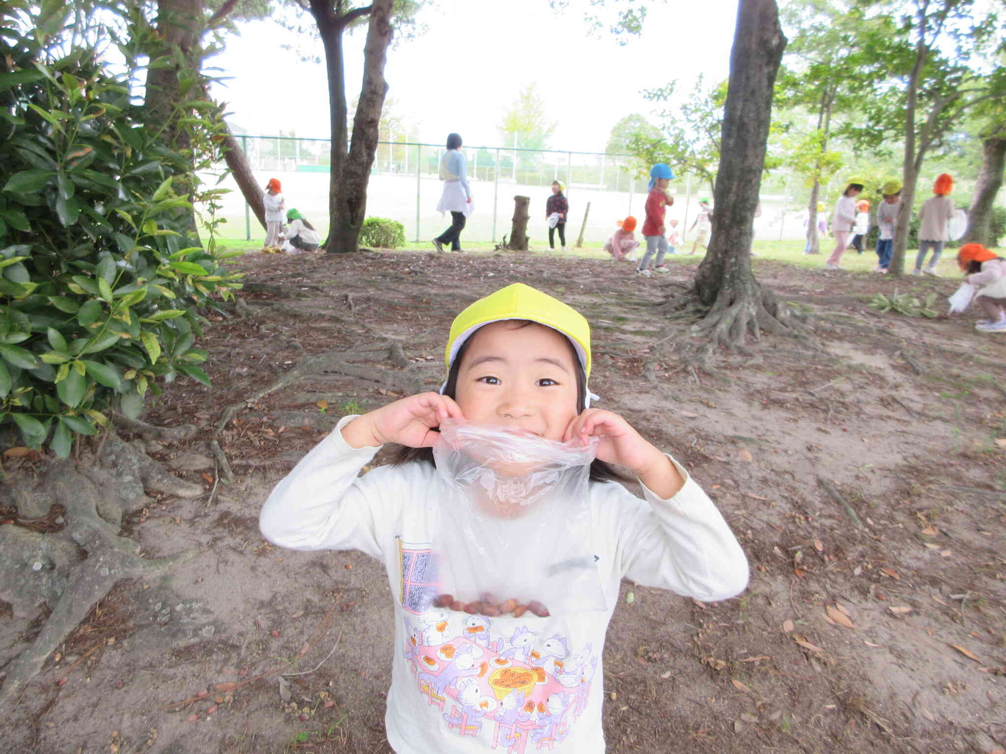 こんなにどんぐりみつけたよ！