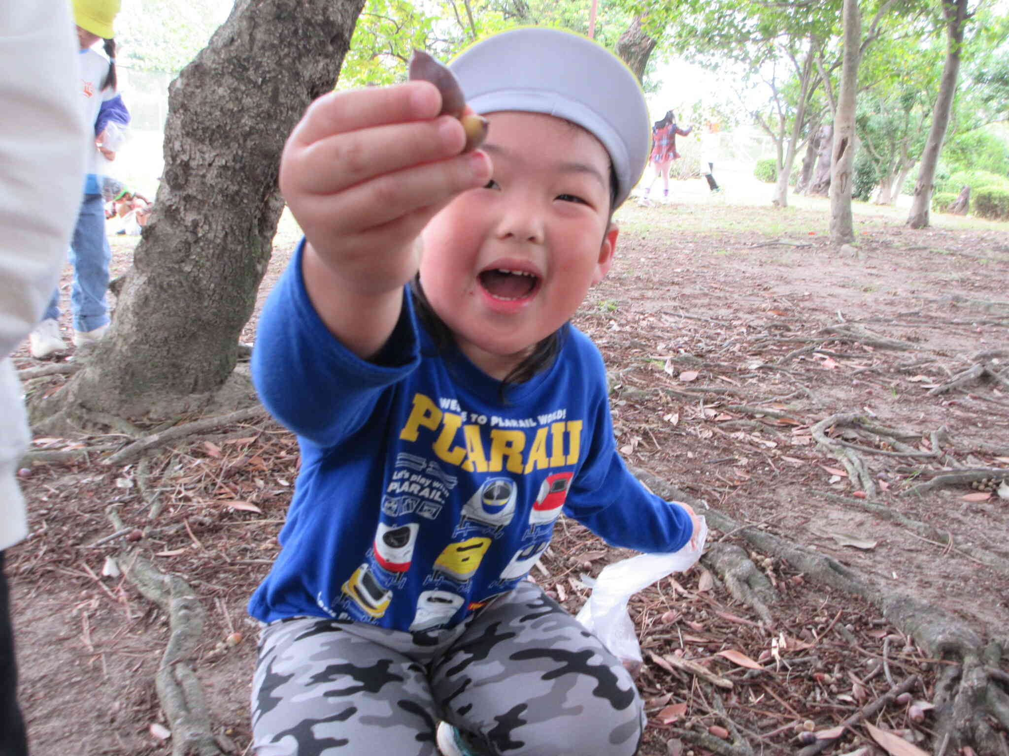 みてみて！きれいなどんぐりだよ！