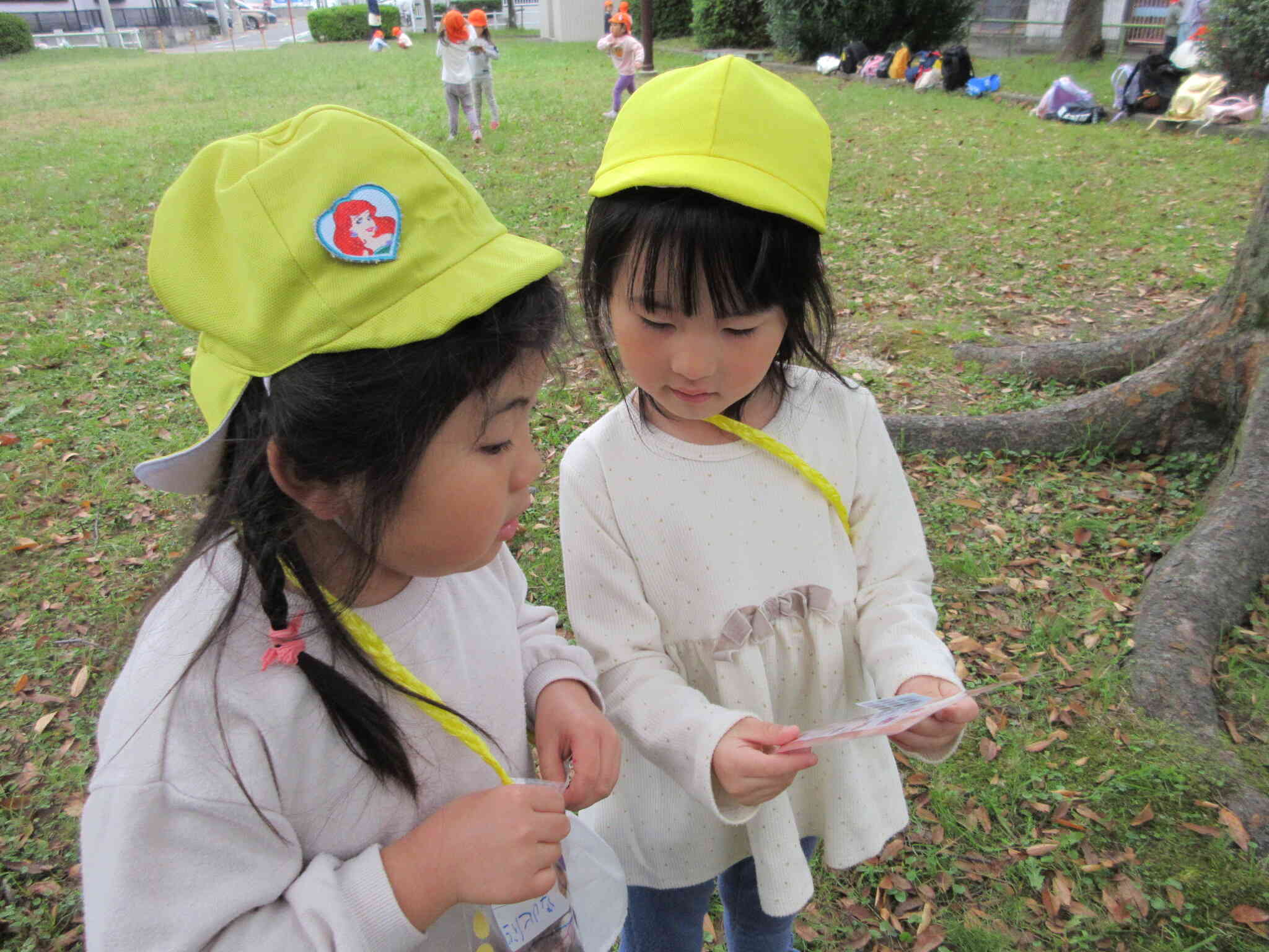 次は何を探そうかな～？