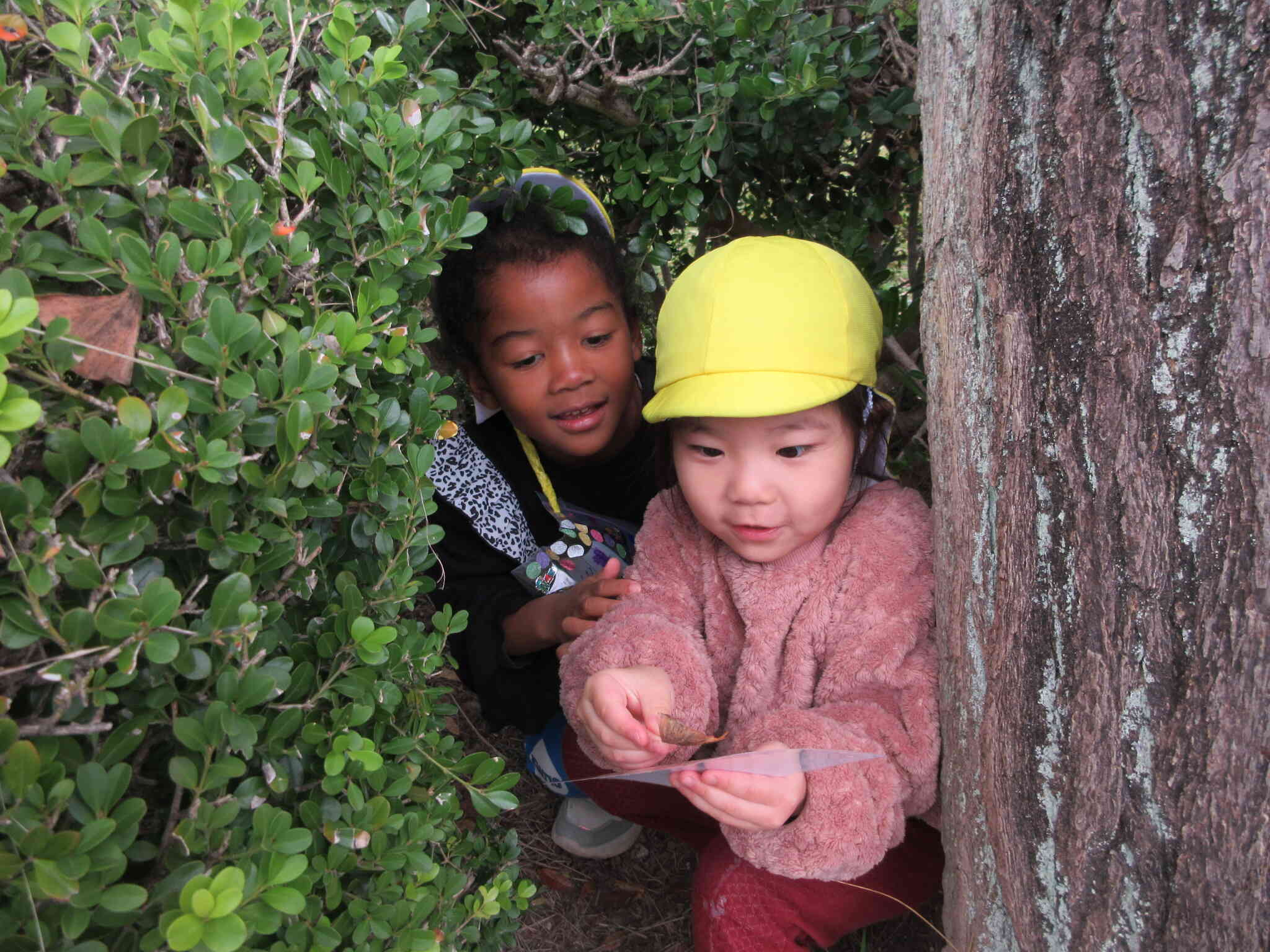 こんなところで見つけたよ！