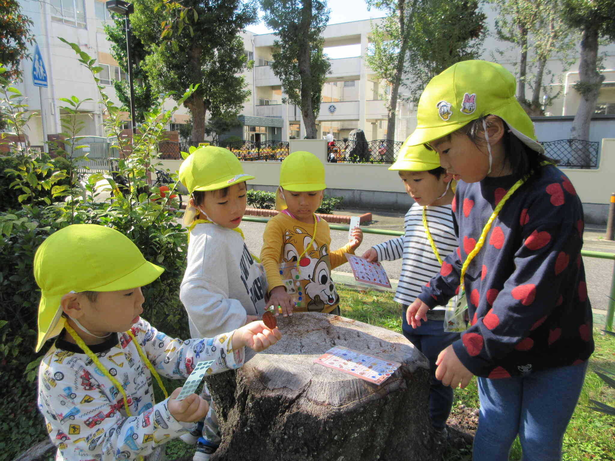 ぱんだ組　秋の自然を探しに行こう！