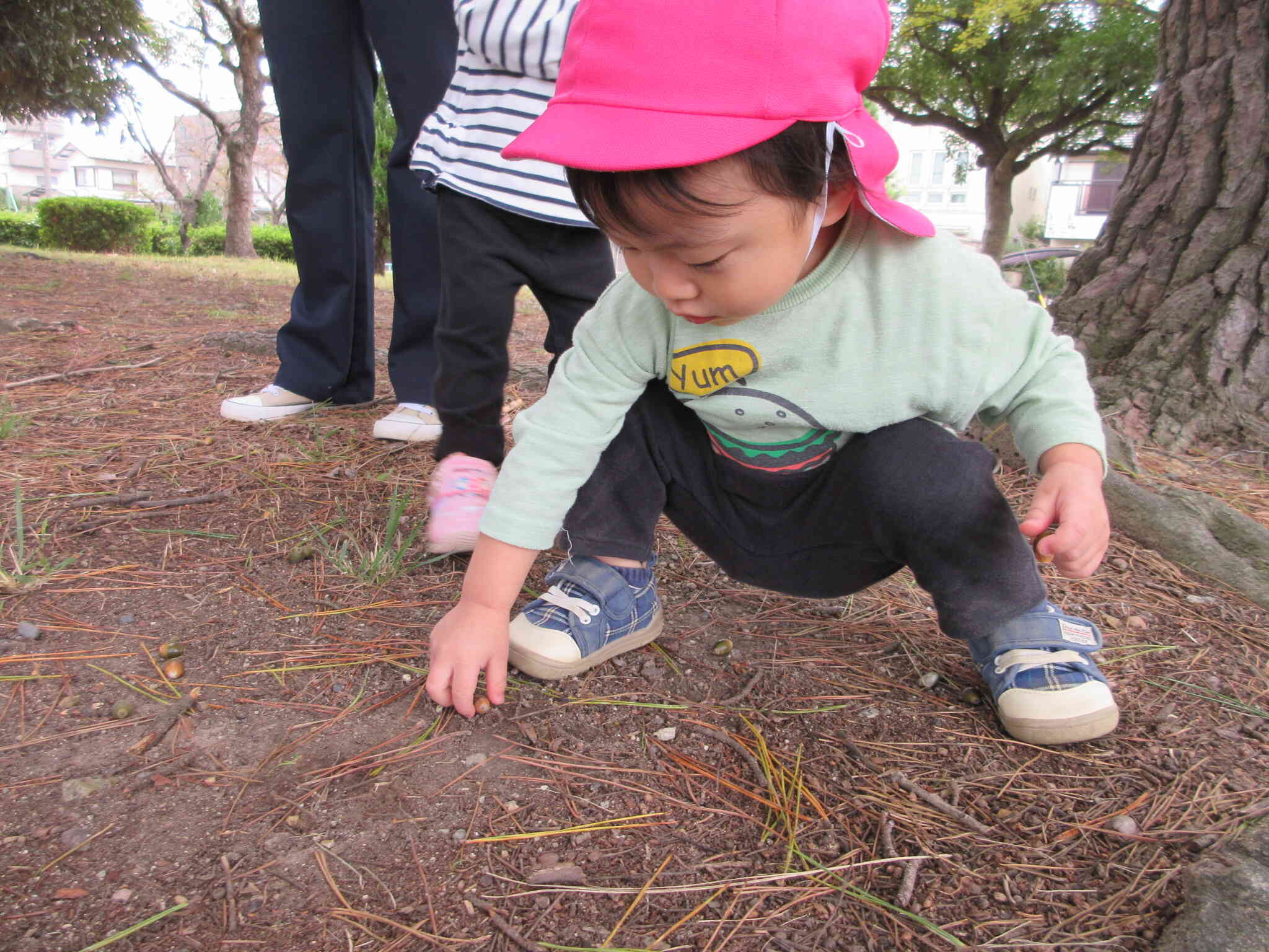 どんぐりどこかな～？